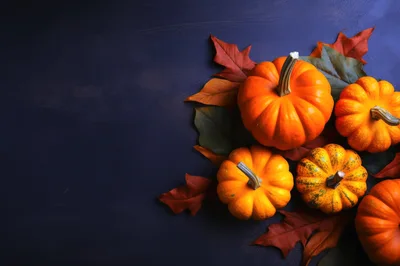Autumn Pumpkins And Fall Leaves On Dark Background