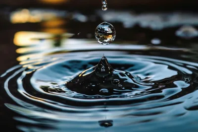 Water Drop Impact Creating Concentric Ripples