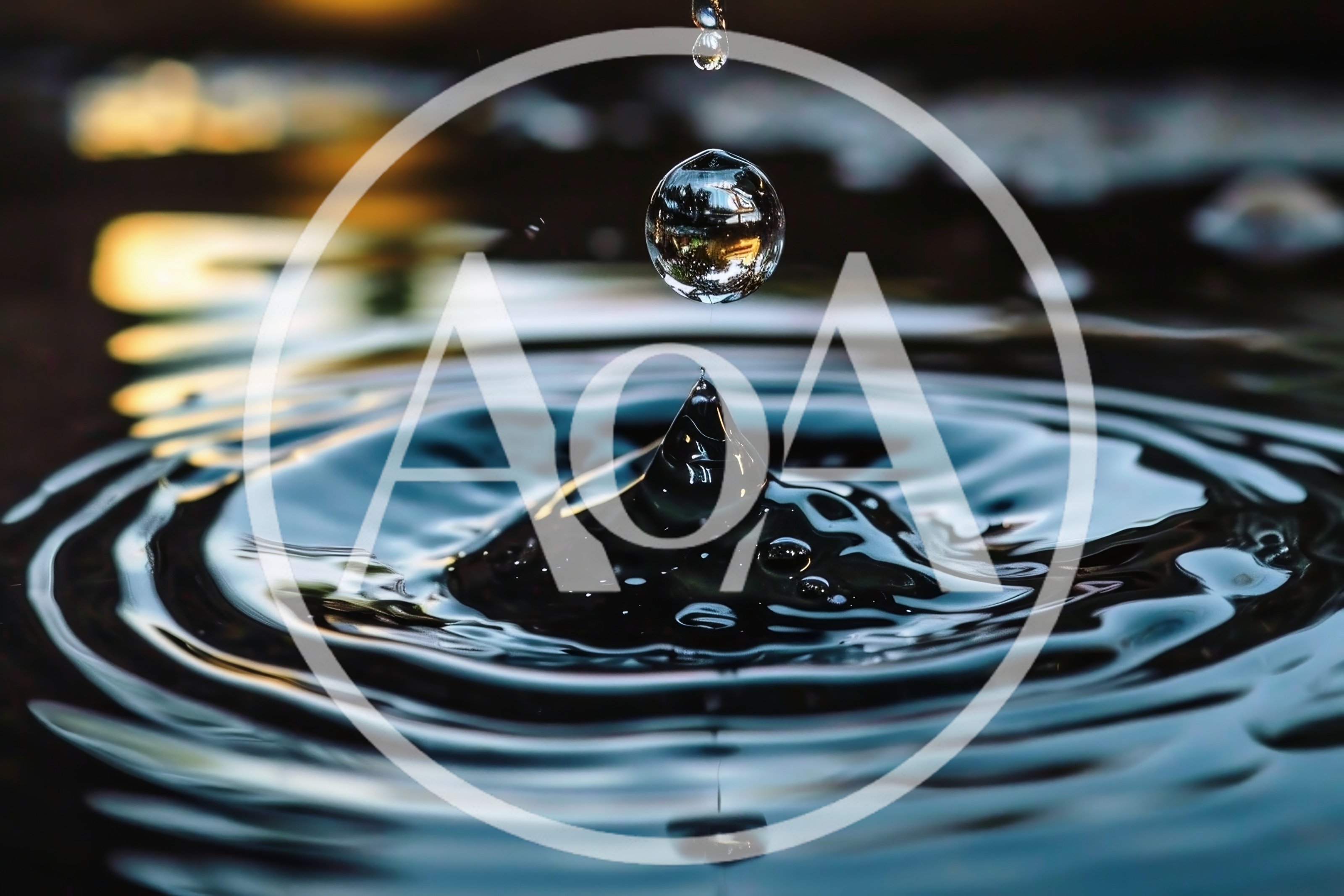 Water Drop Impact Creating Concentric Ripples