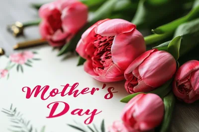 Mother's Day Greeting Card With Fresh Pink Tulips
