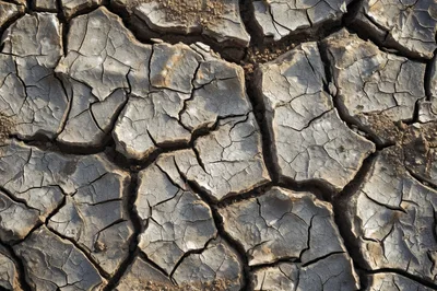 Dry Cracked Earth Texture Background