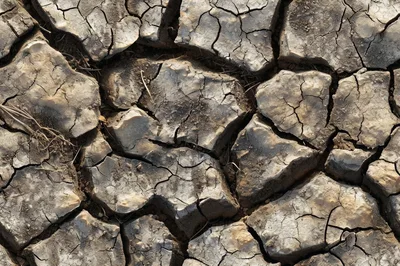 Cracked Dry Earth Texture Background