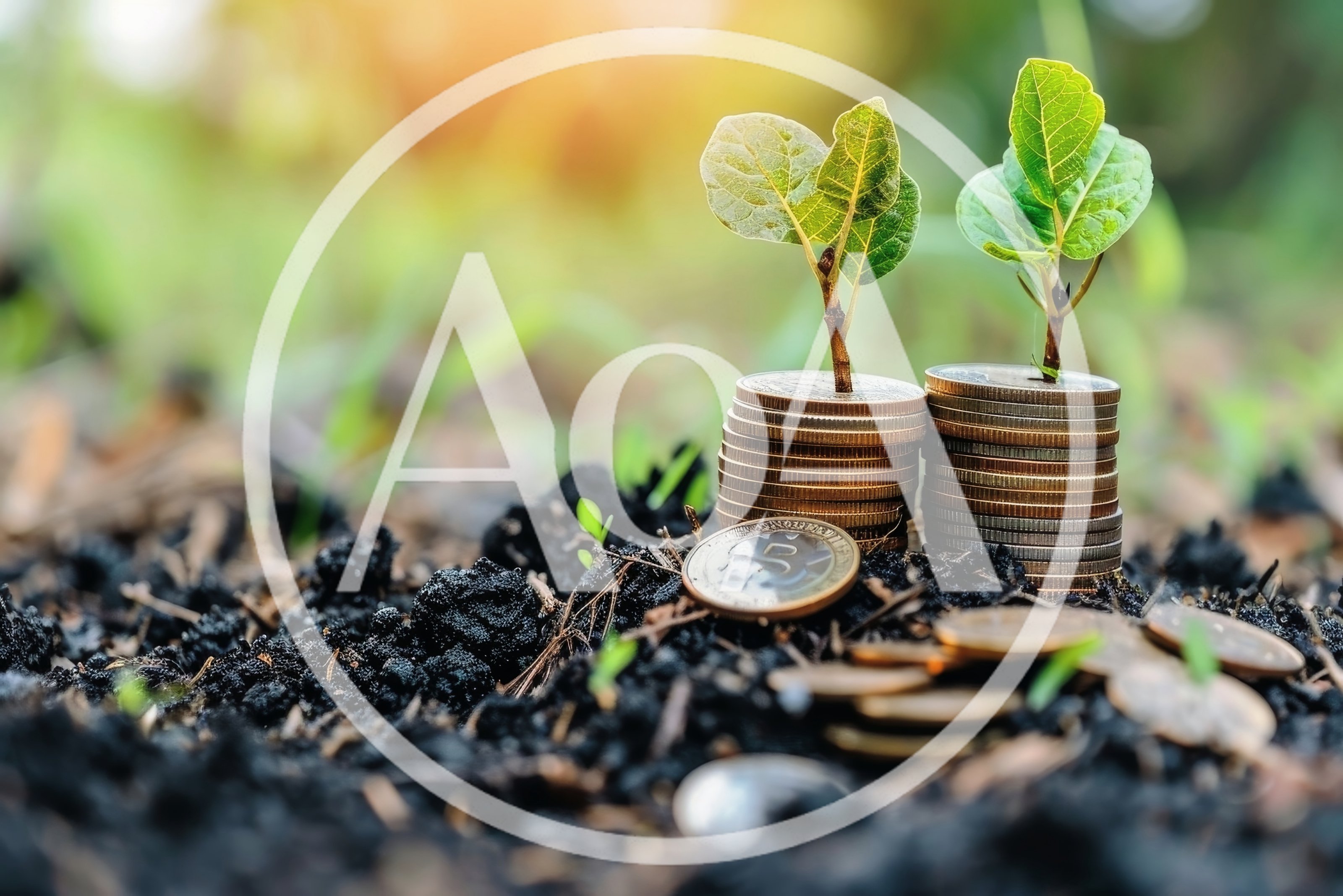 Small Plants Growing From Stacks Of Coins