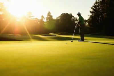 Golfer Putting On A Sunny Golf Course Green