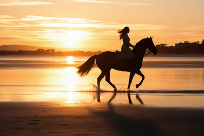 Woman Riding Horse Along Beach At Sunset