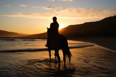 Silhouette Of A Woman Riding A Horse At Sunset