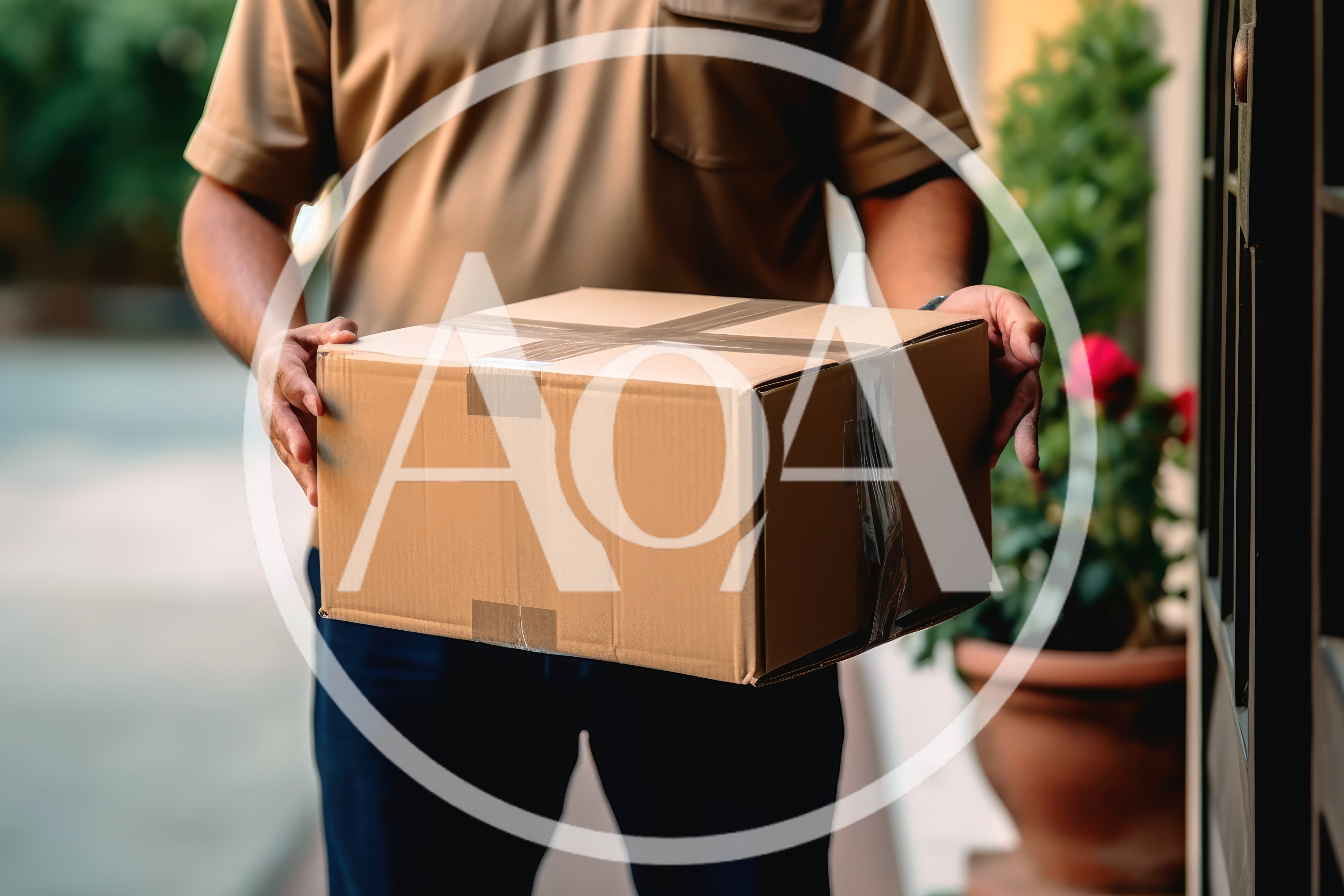 Delivery Person Holding Cardboard Package At Doorstep