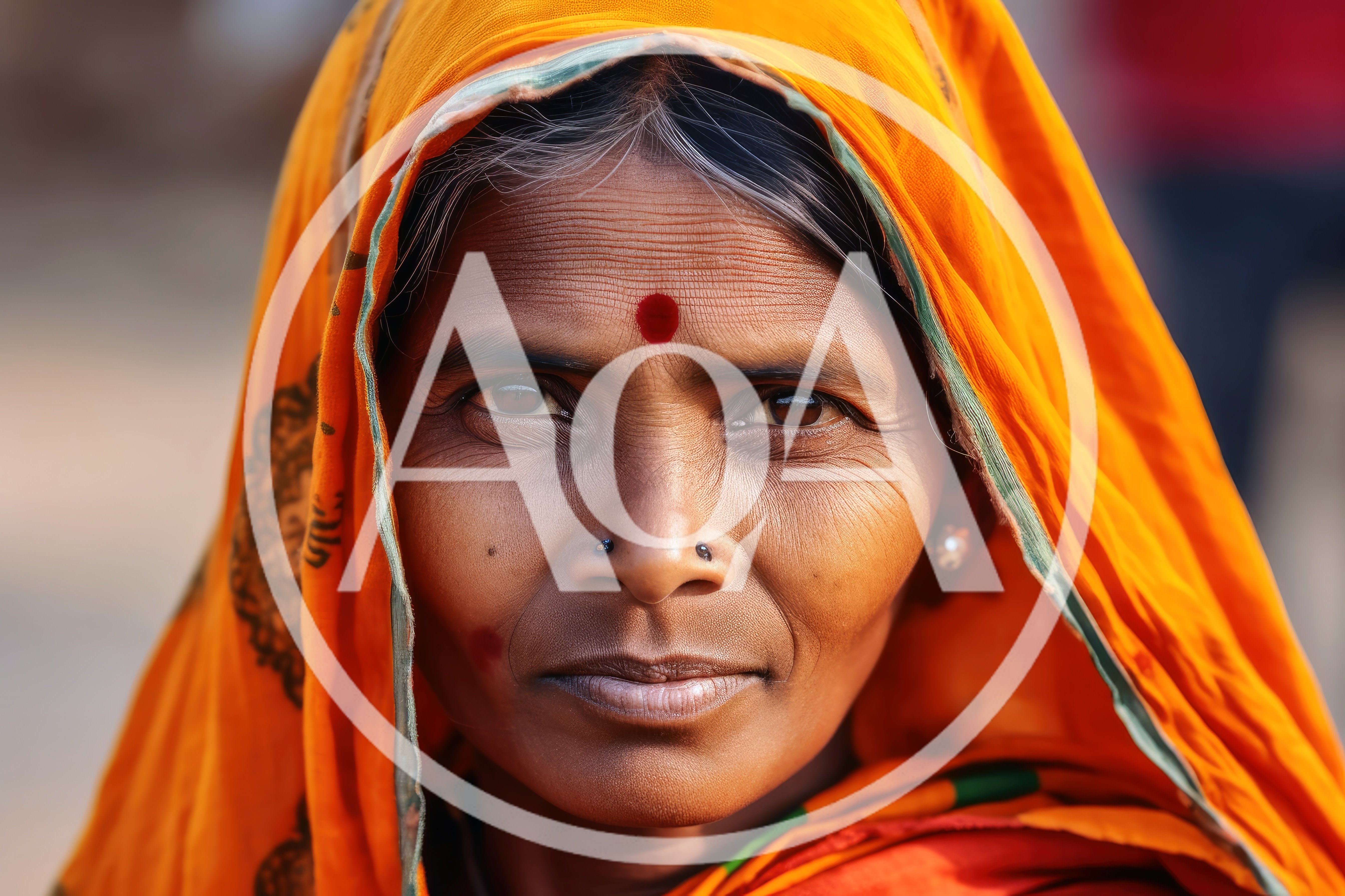 Portrait Of An Elderly Indian Woman In Traditional Attire
