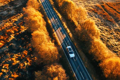 Aerial View Of A Car Driving On A Forest Road