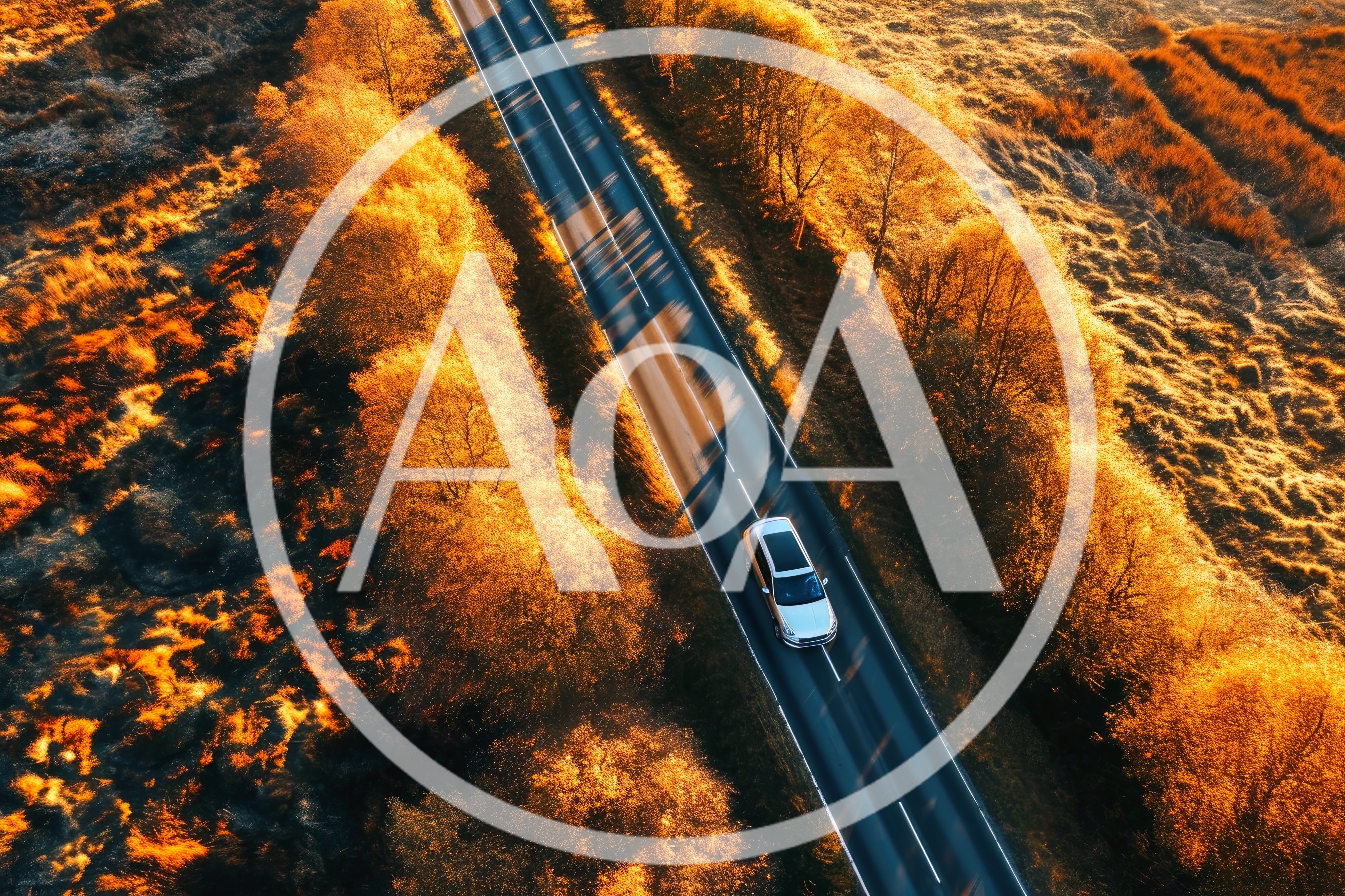 Aerial View Of A Car Driving On A Forest Road