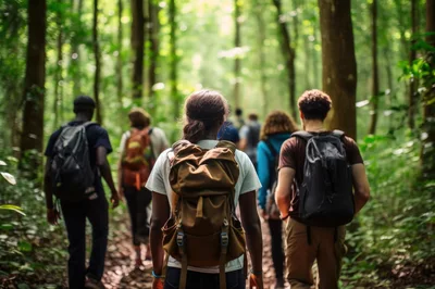 Diverse Group Of Hikers Walking Through A Lush Forest