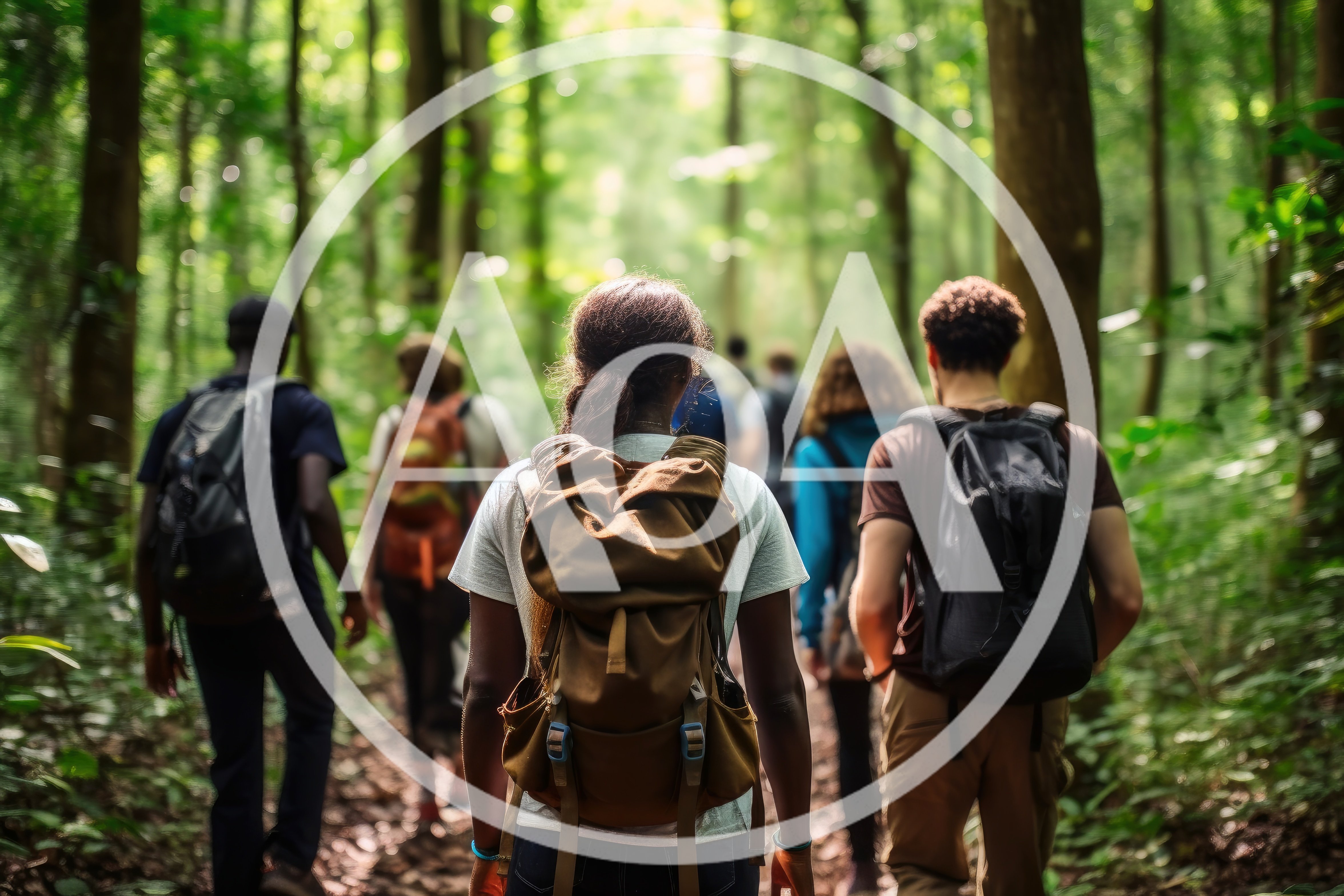 Diverse Group Of Hikers Walking Through A Lush Forest