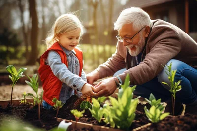 Grandfather and Granddaughter Planting Seedlings in Garden