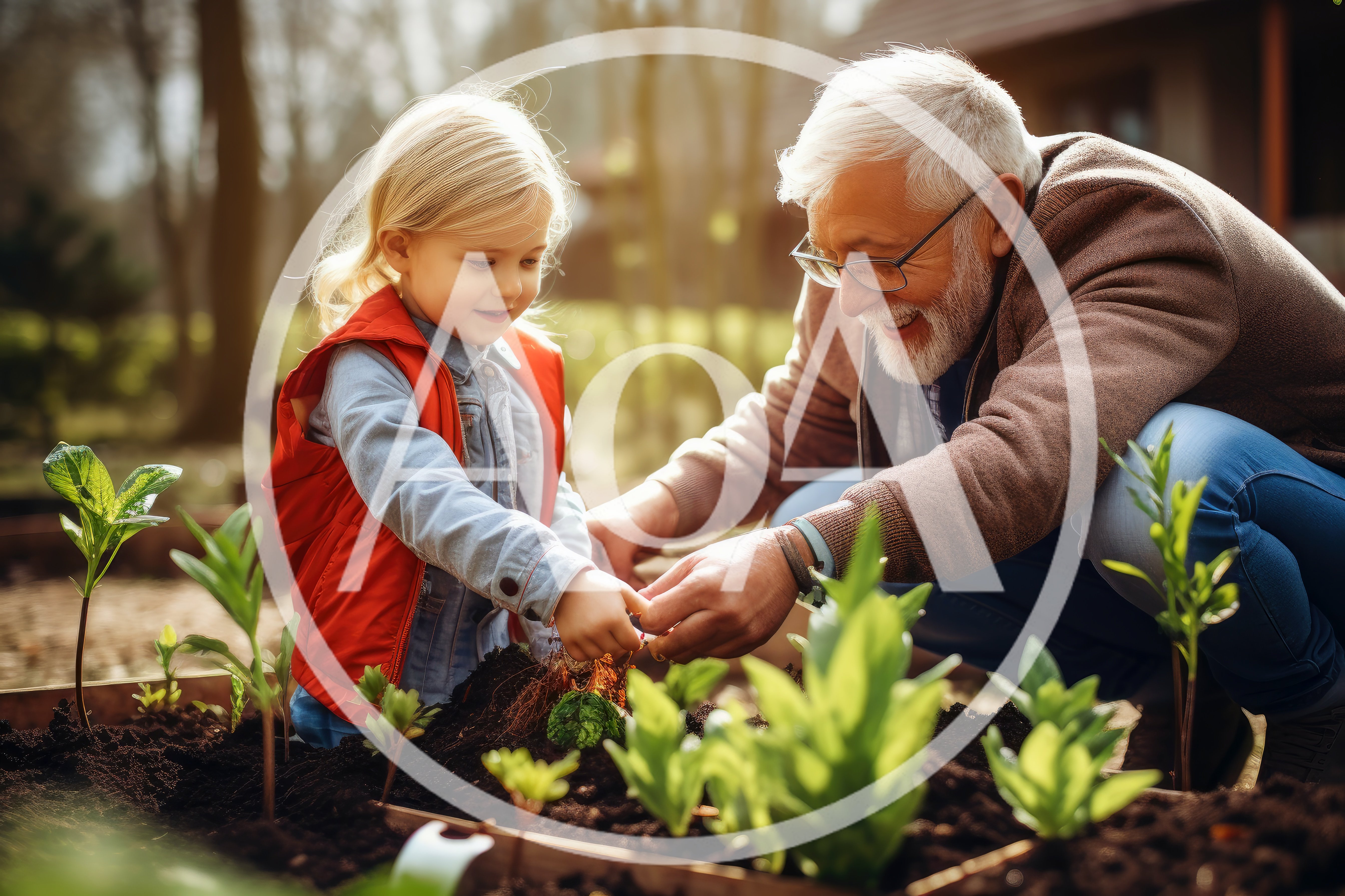 Grandfather and Granddaughter Planting Seedlings in Garden