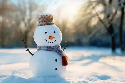 Cute Snowman Standing In A Snowy Winter Landscape