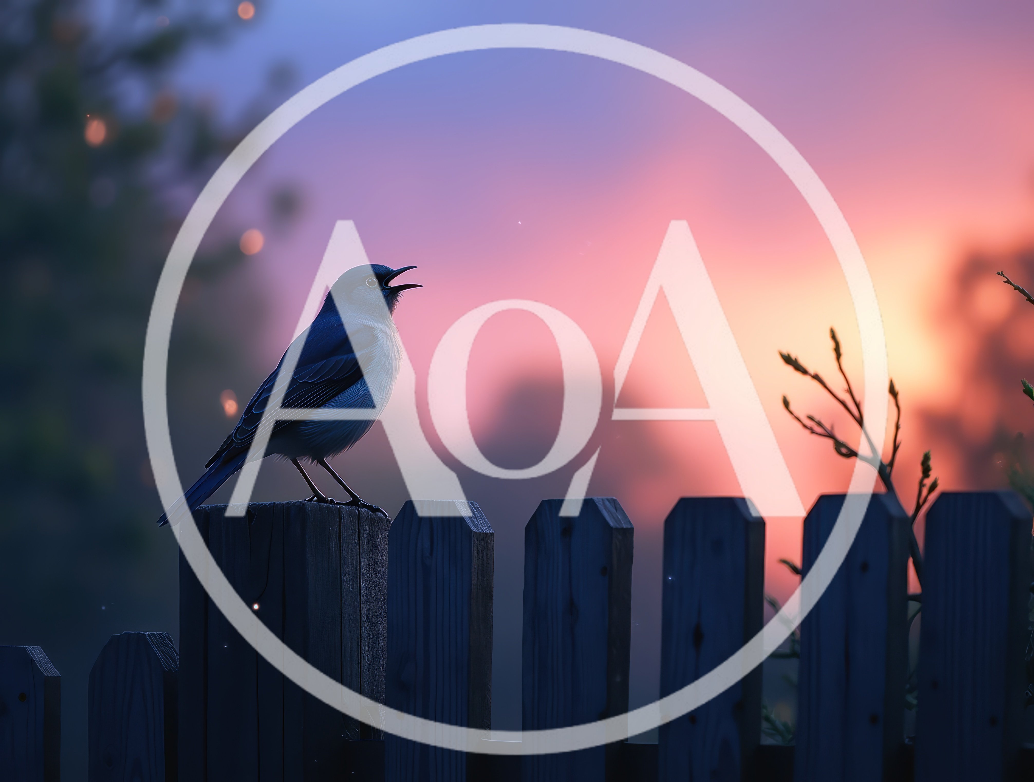 Blue Bird Singing On A Wooden Fence At Sunset