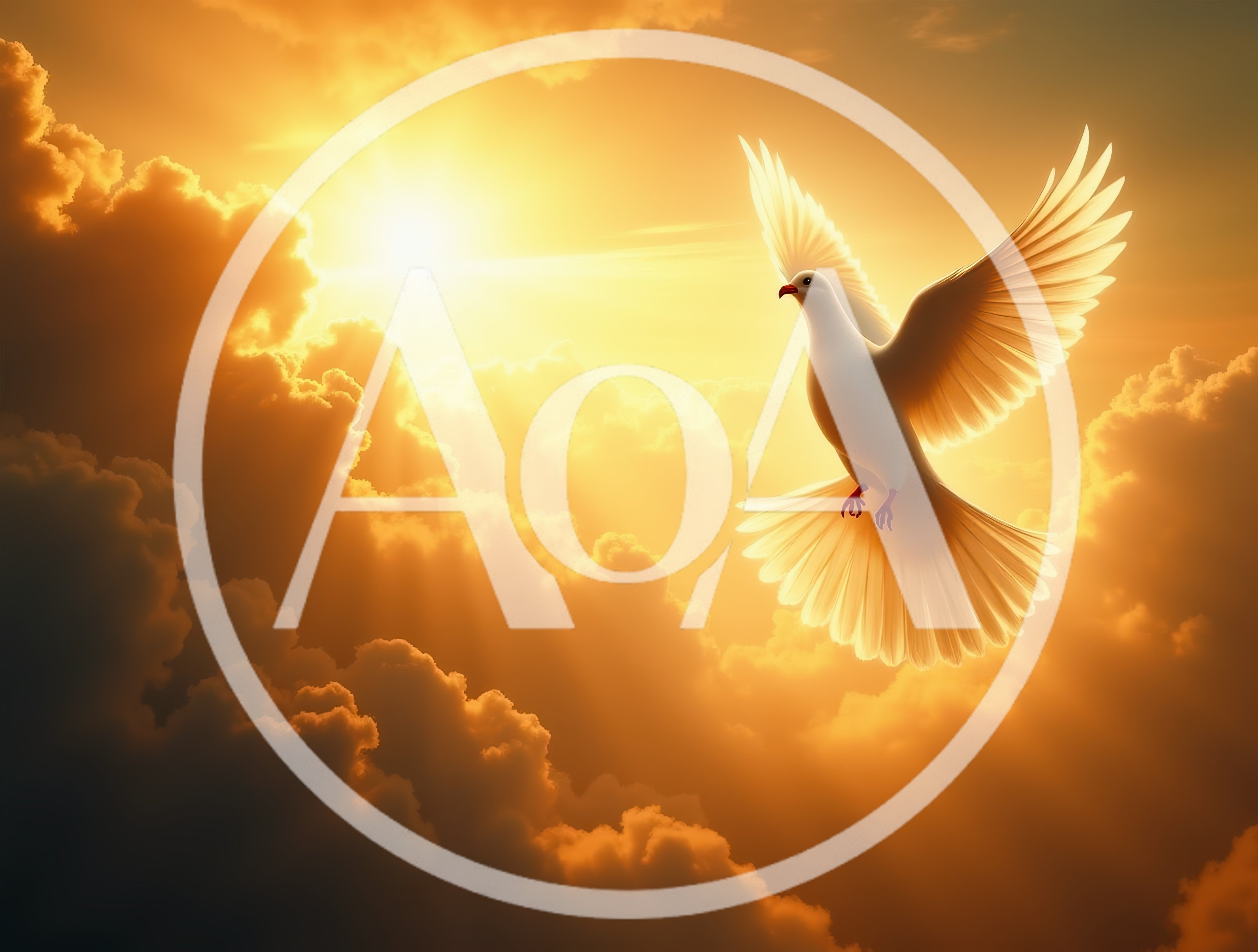 White Dove Flying Against Golden Sunset Clouds