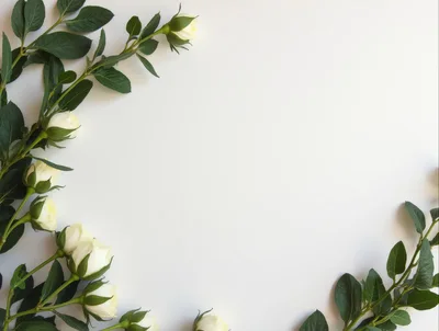 White Rose Floral Border Frame on White Background