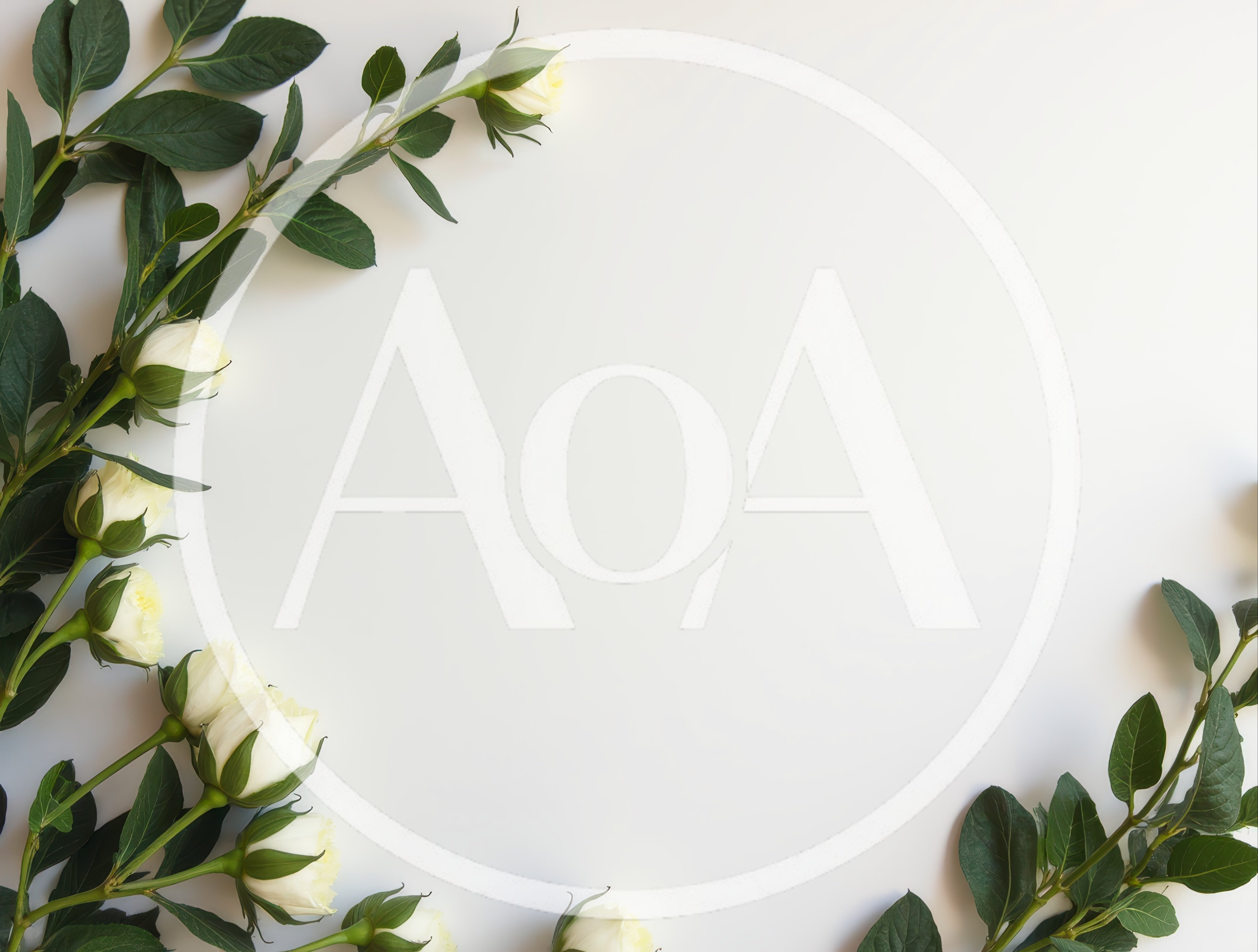 White Rose Floral Border Frame on White Background