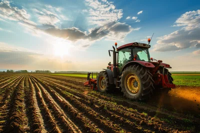Red Tractor Plowing Field During Golden Hour