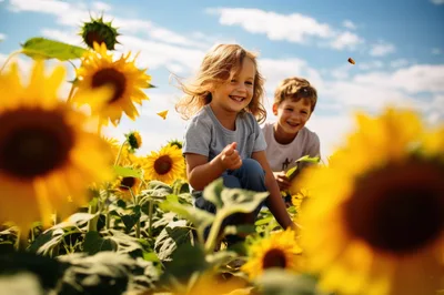 Happy Children Playing In A Sunny Sunflower Field
