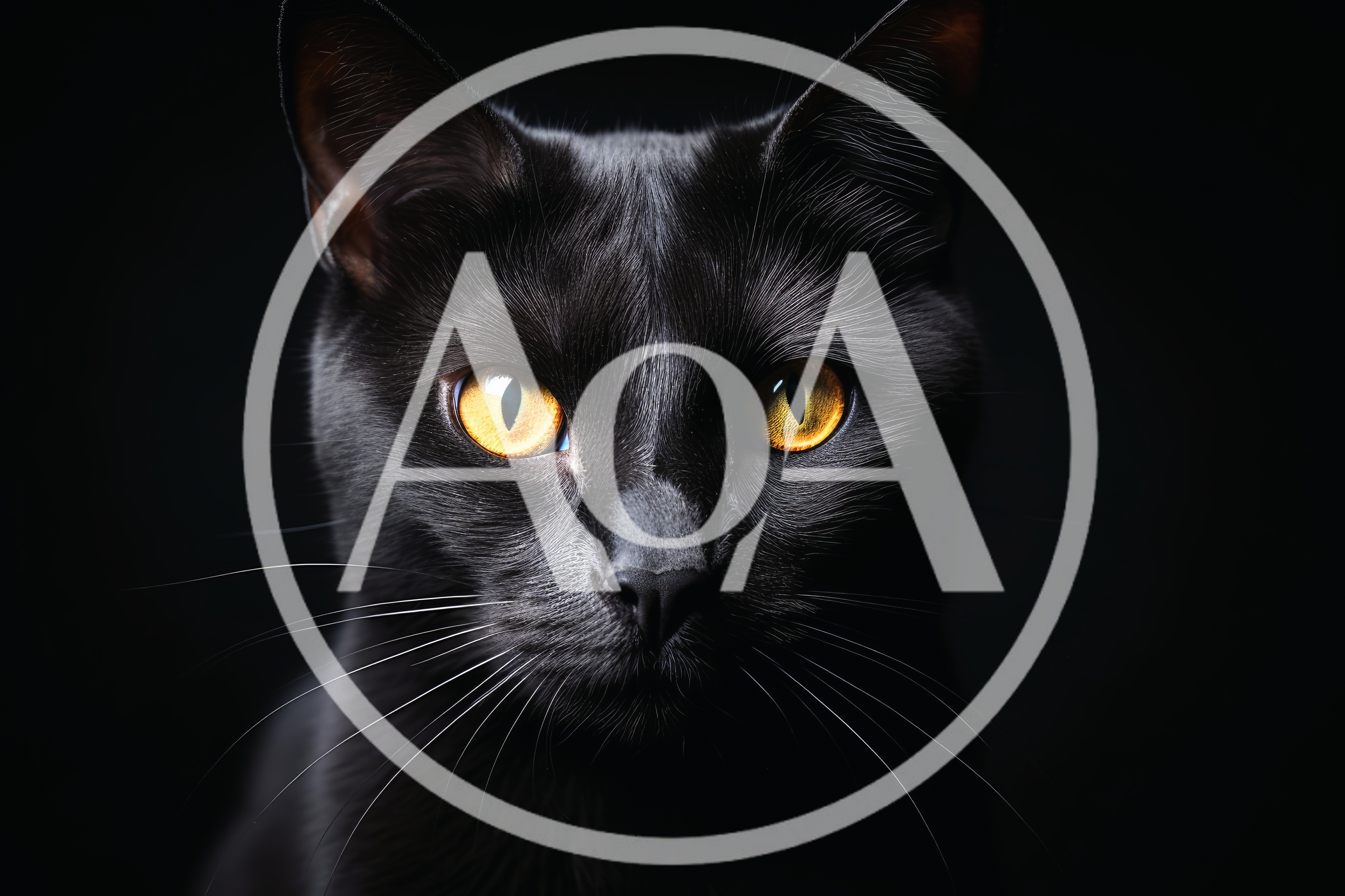 Portrait Of A Black Cat With Golden Eyes
