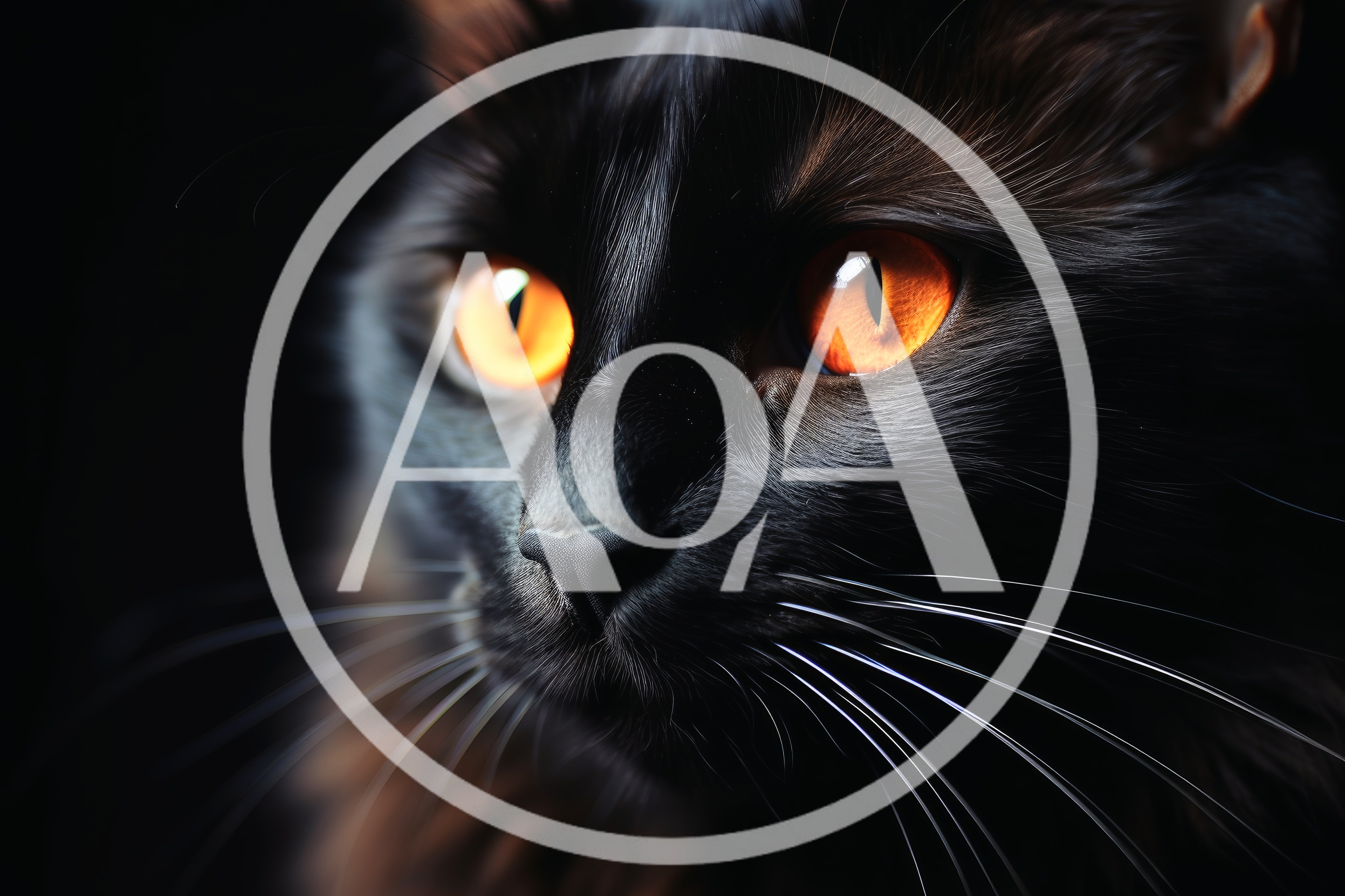 Close Up Portrait Of A Black Cat With Glowing Eyes