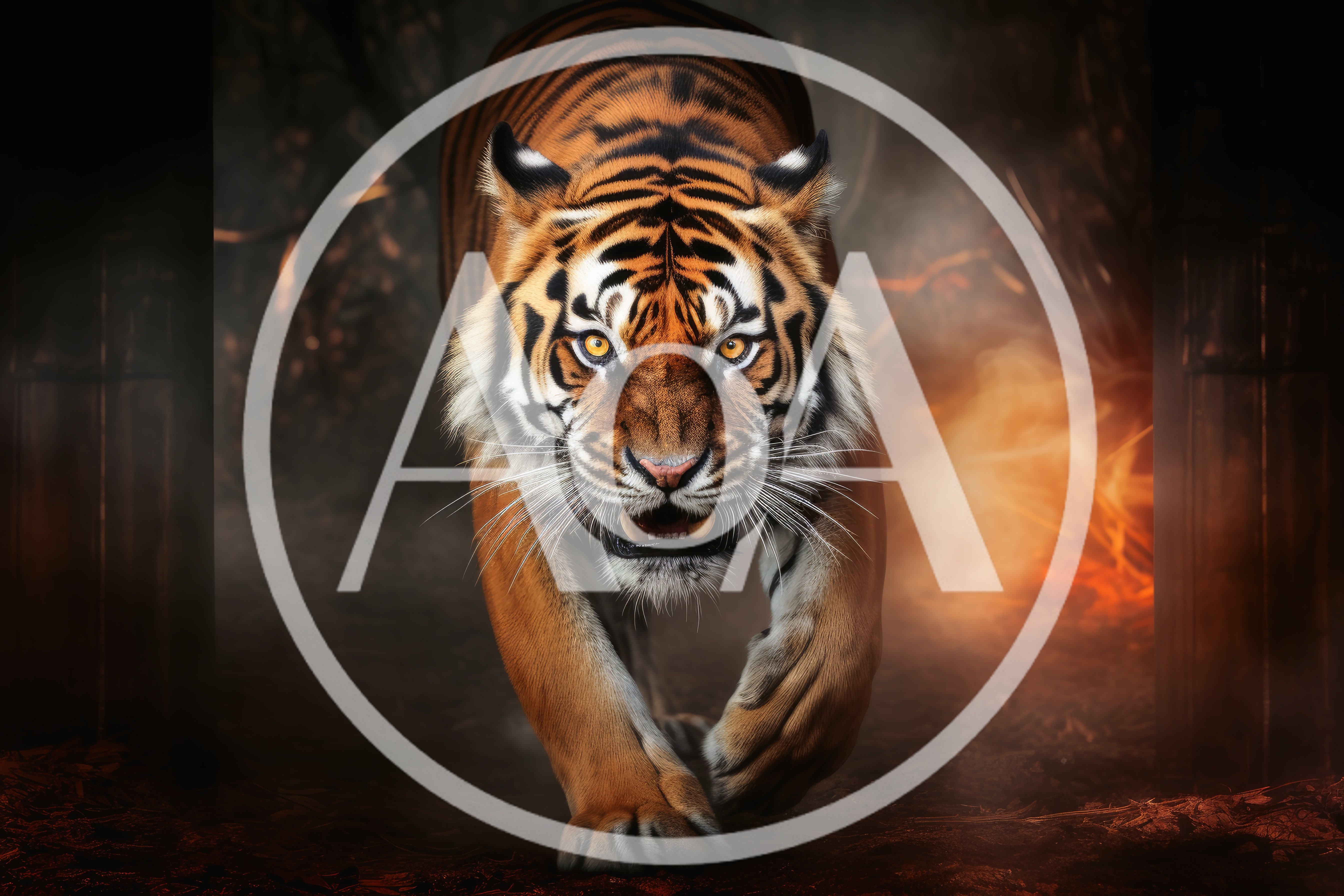 Majestic Tiger Walking Through Dark Smoky Environment