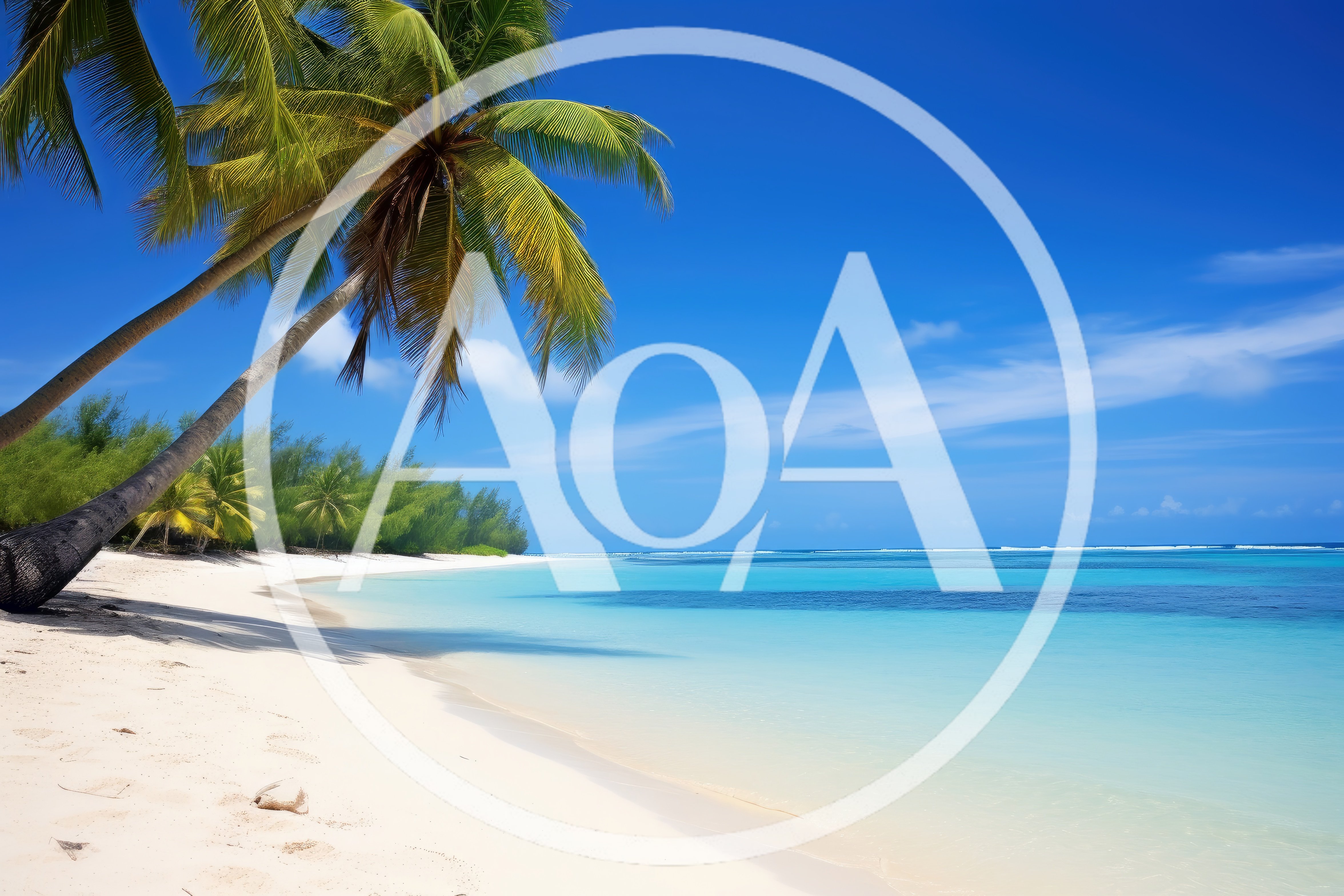 Tropical Beach Scene With Palm Tree And Turquoise Water