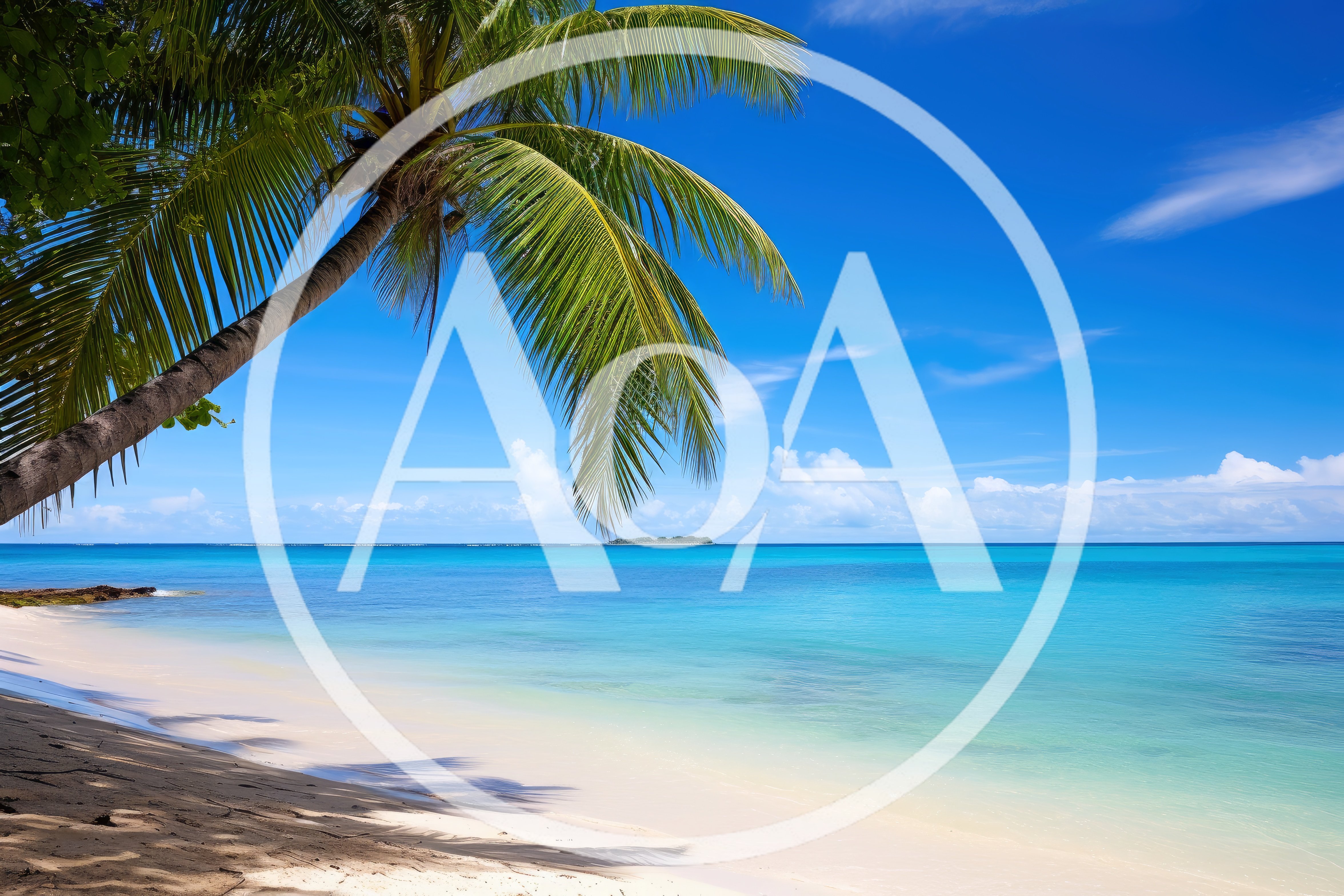 Tropical Beach Scene With Palm Tree And Turquoise Water