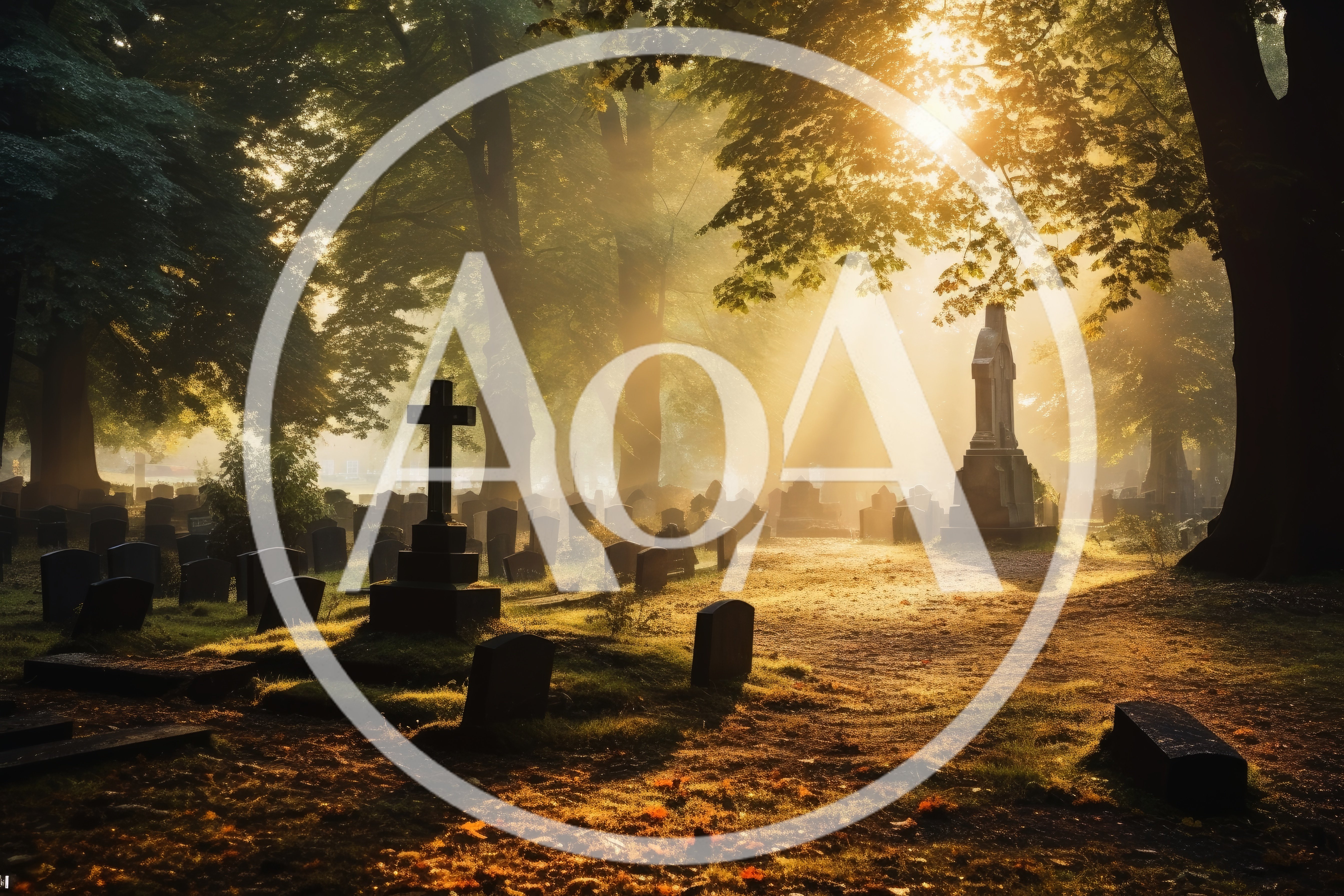 Sunlight Streaming Through Trees In A Historic Cemetery