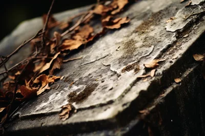 Weathered Stone Tombstone Covered With Fallen Autumn Leaves