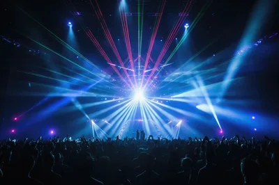 Crowd Dancing at an Electronic Music Concert