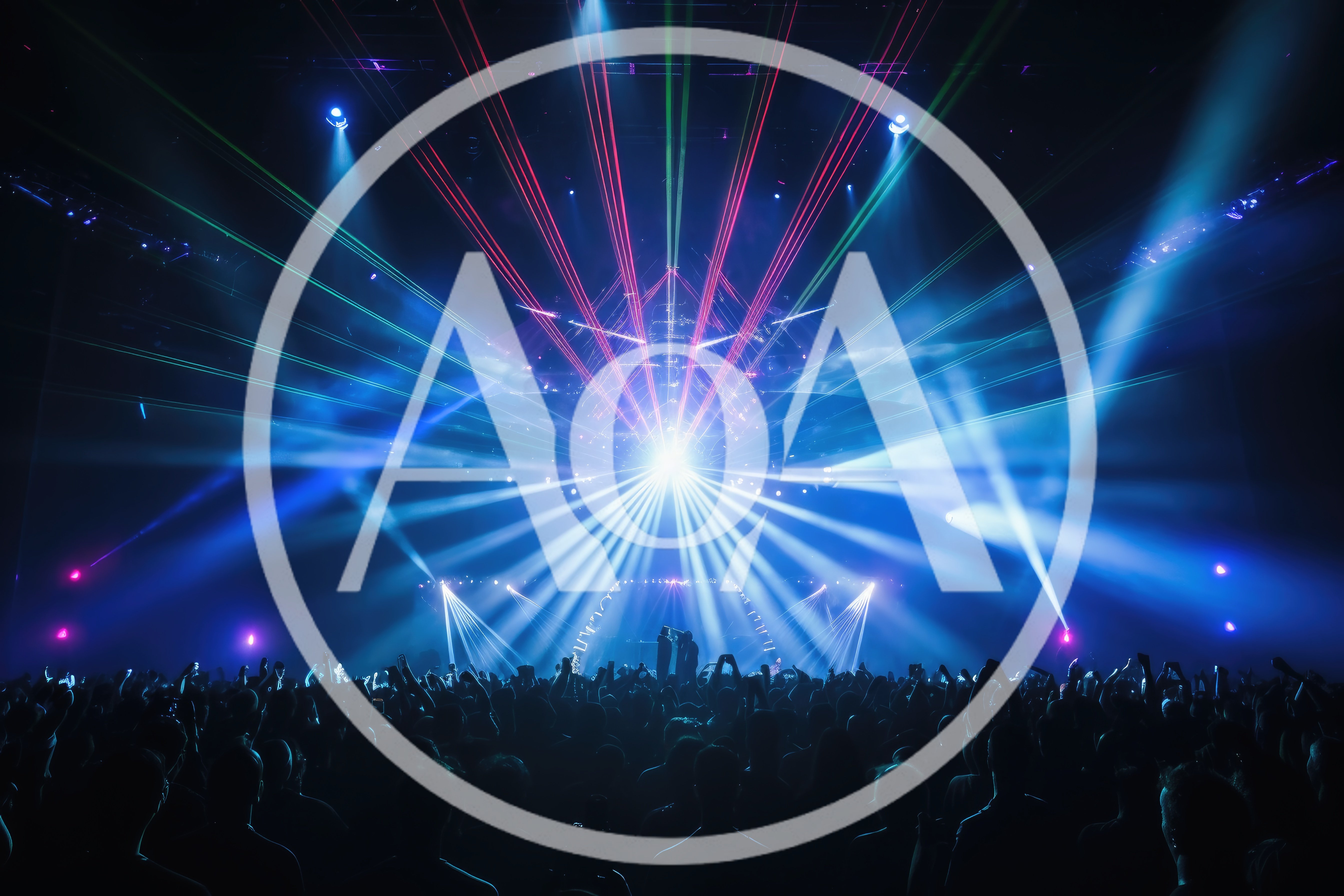 Crowd Dancing at an Electronic Music Concert