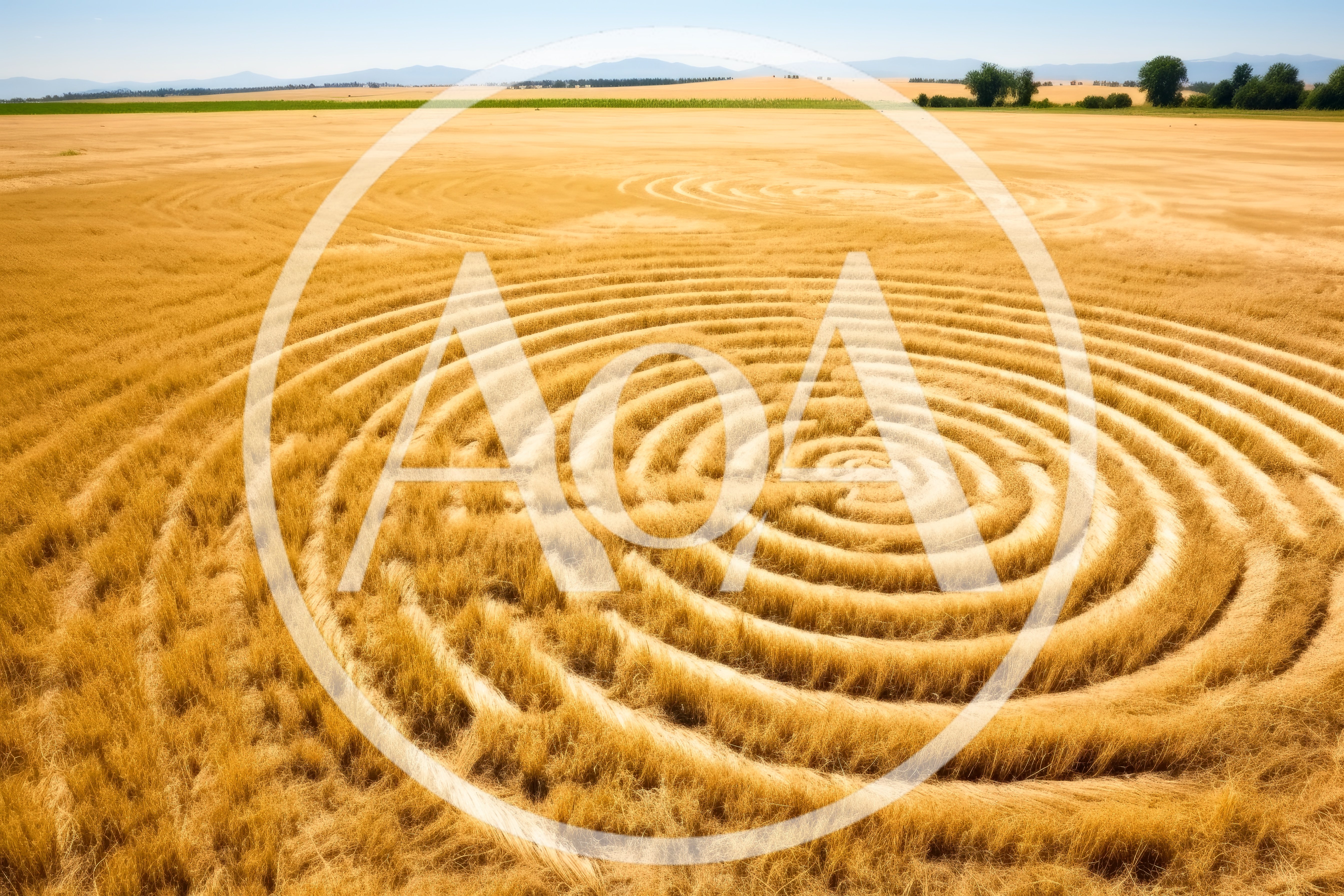 Aerial View Of Spiral Crop Circles In Wheat Field