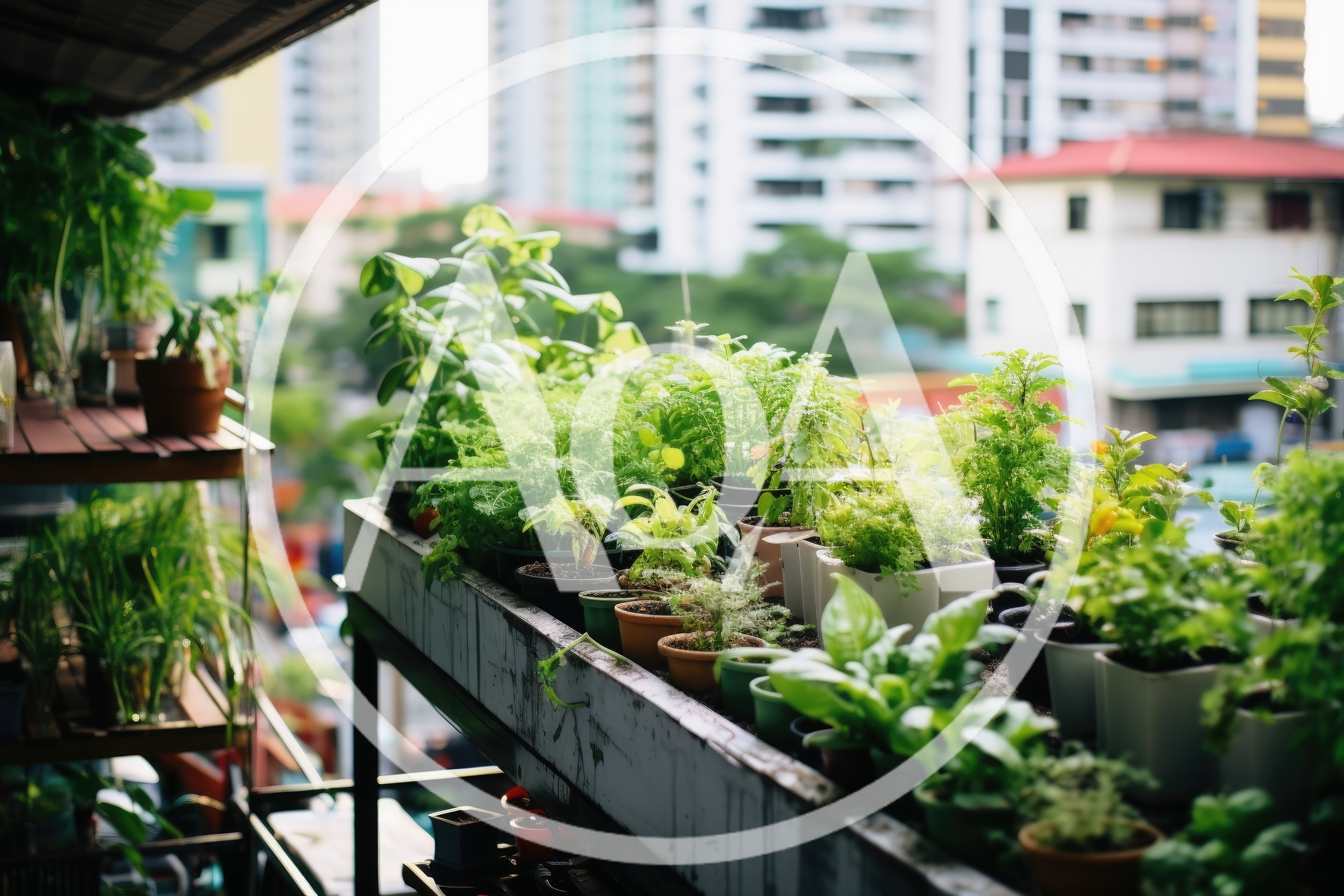 Urban Balcony Garden With Potted Herbs And Plants