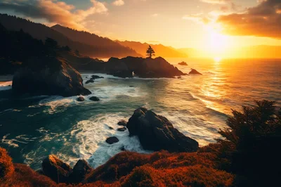 Golden Sunset Over Rugged Pacific Coastline
