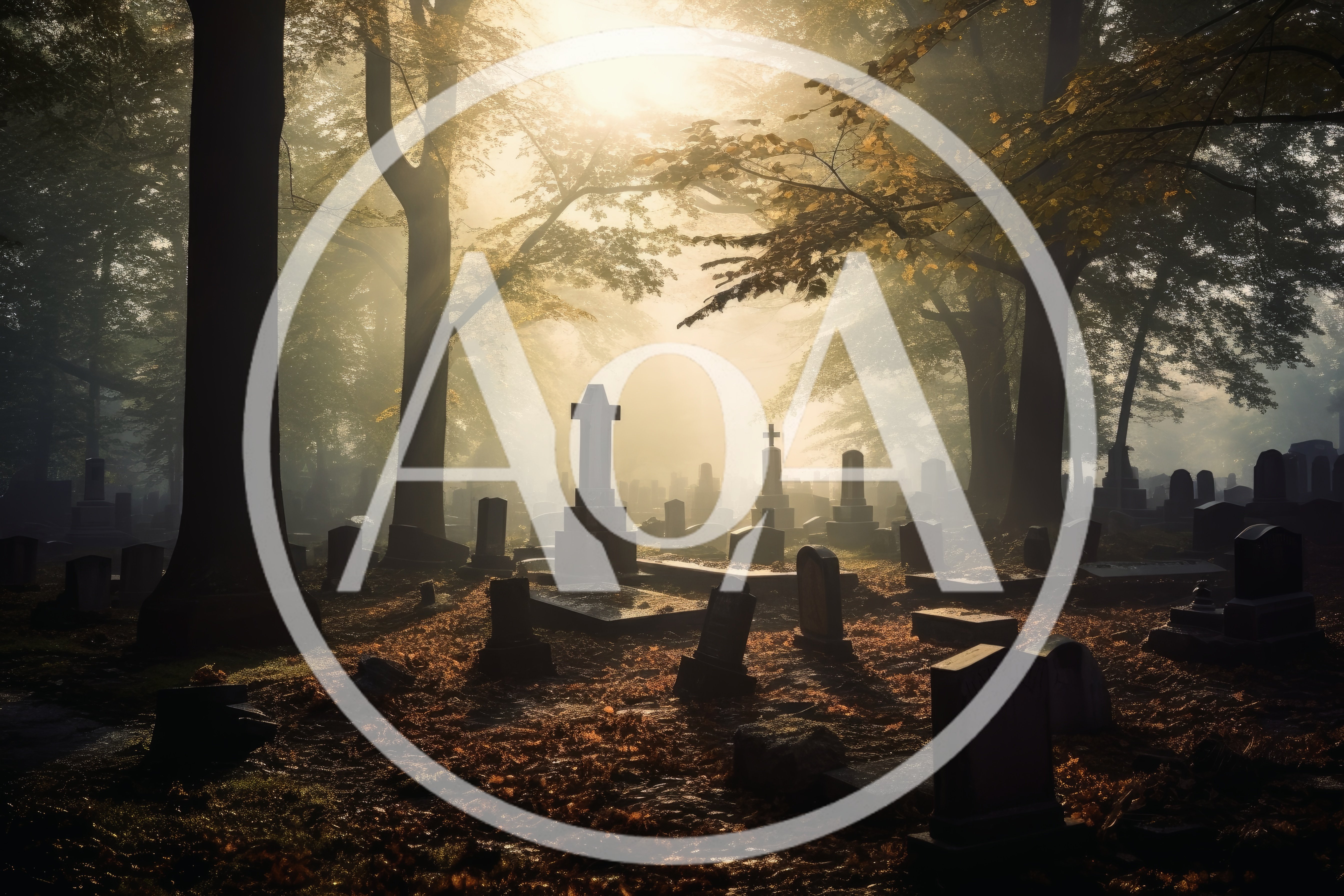 Sunlight Streaming Through Trees In An Ancient Cemetery