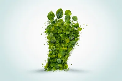 Ecological Footprint Concept Made Of Green Leaves