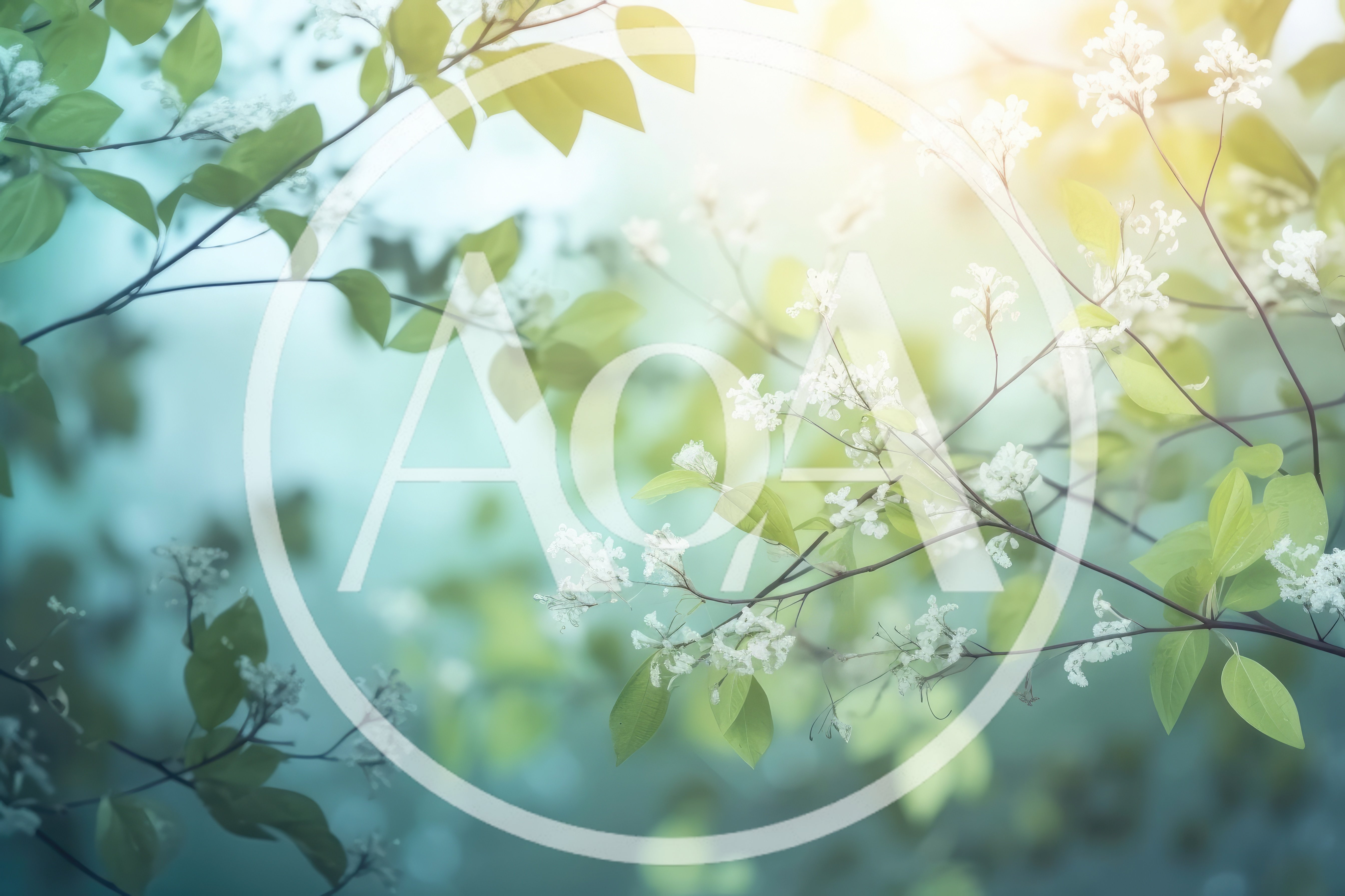 Spring Blossoms On Tree Branches In Soft Sunlight