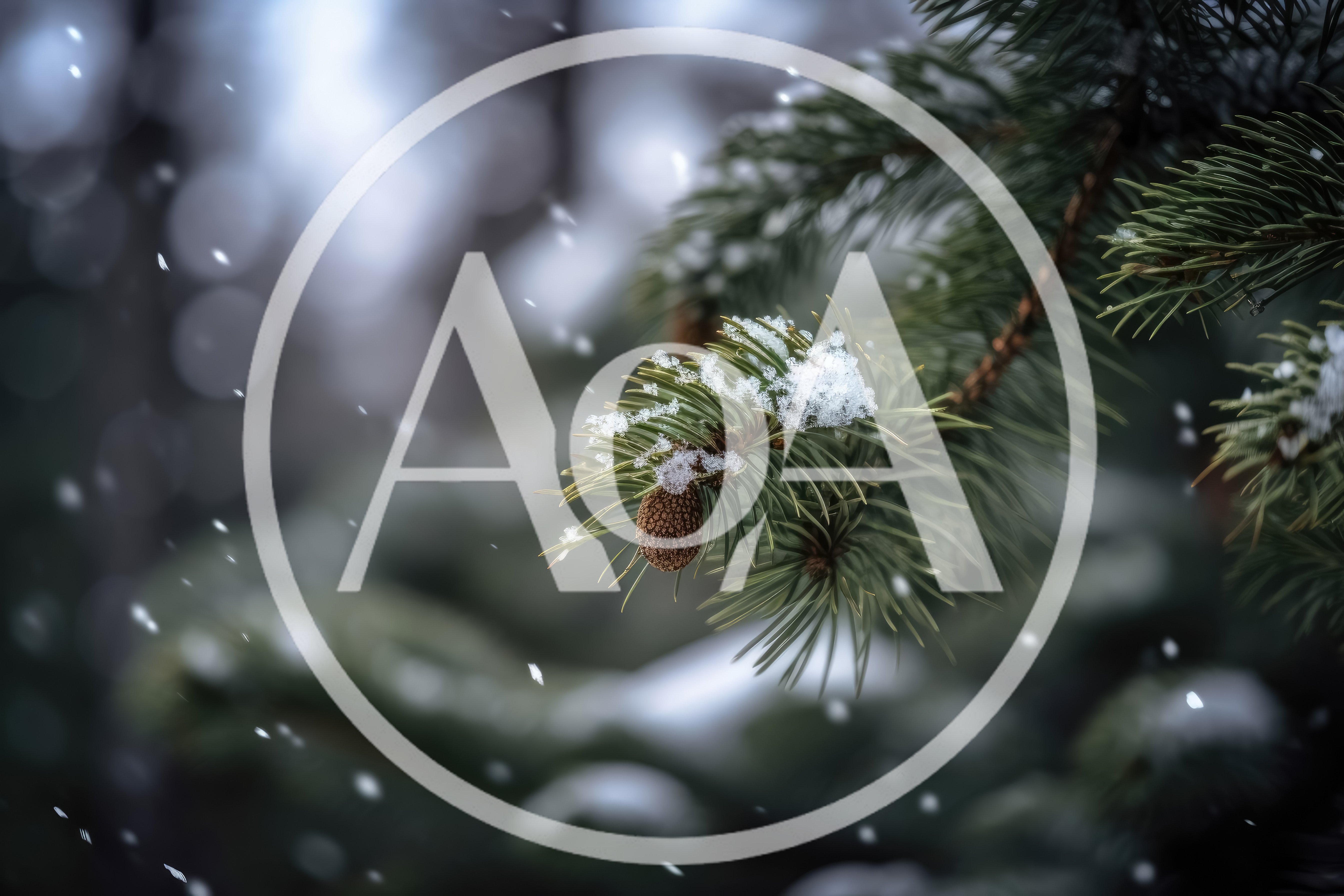Snow Falling On A Pine Branch With Cone