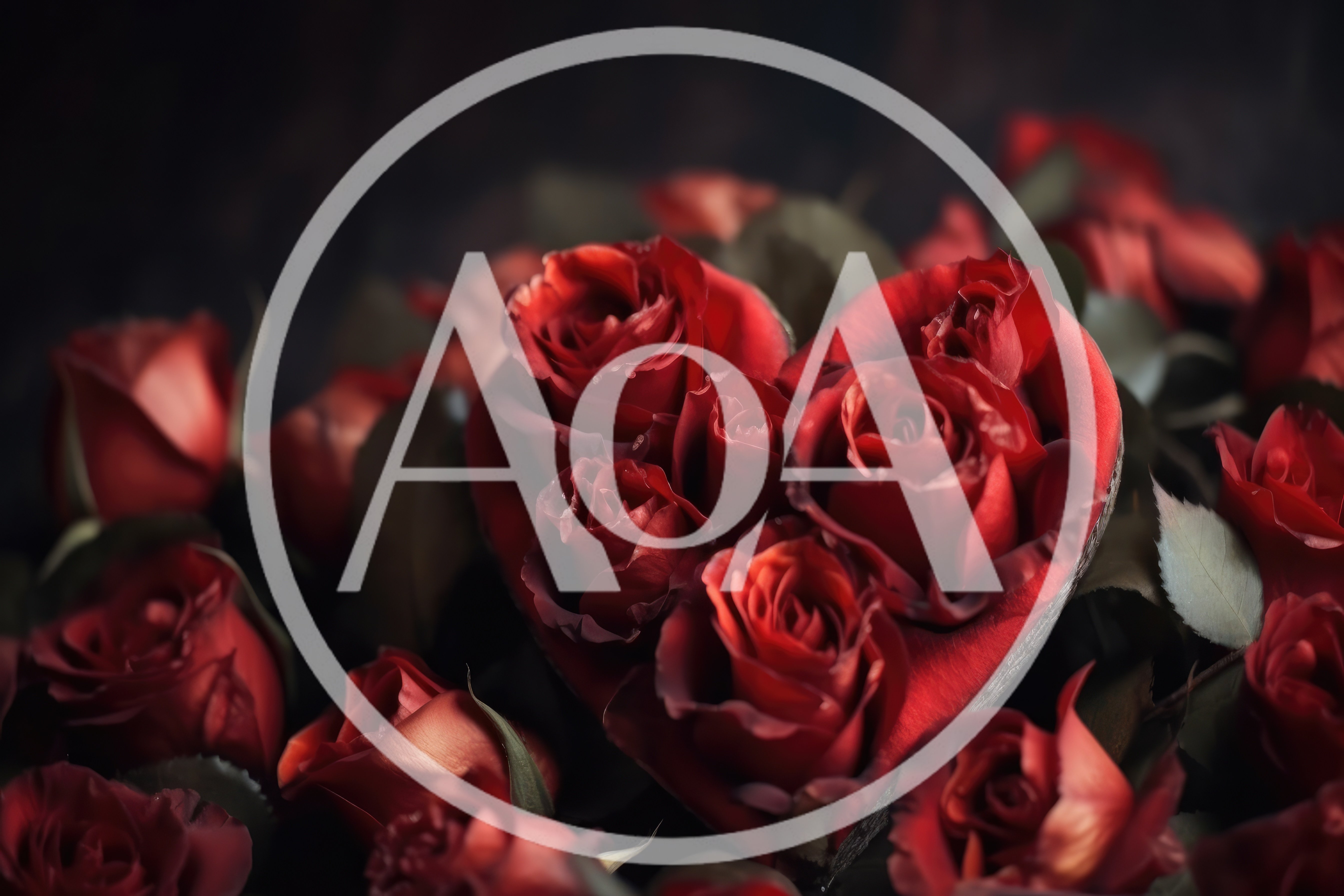 Heart Shaped Arrangement Of Deep Red Roses