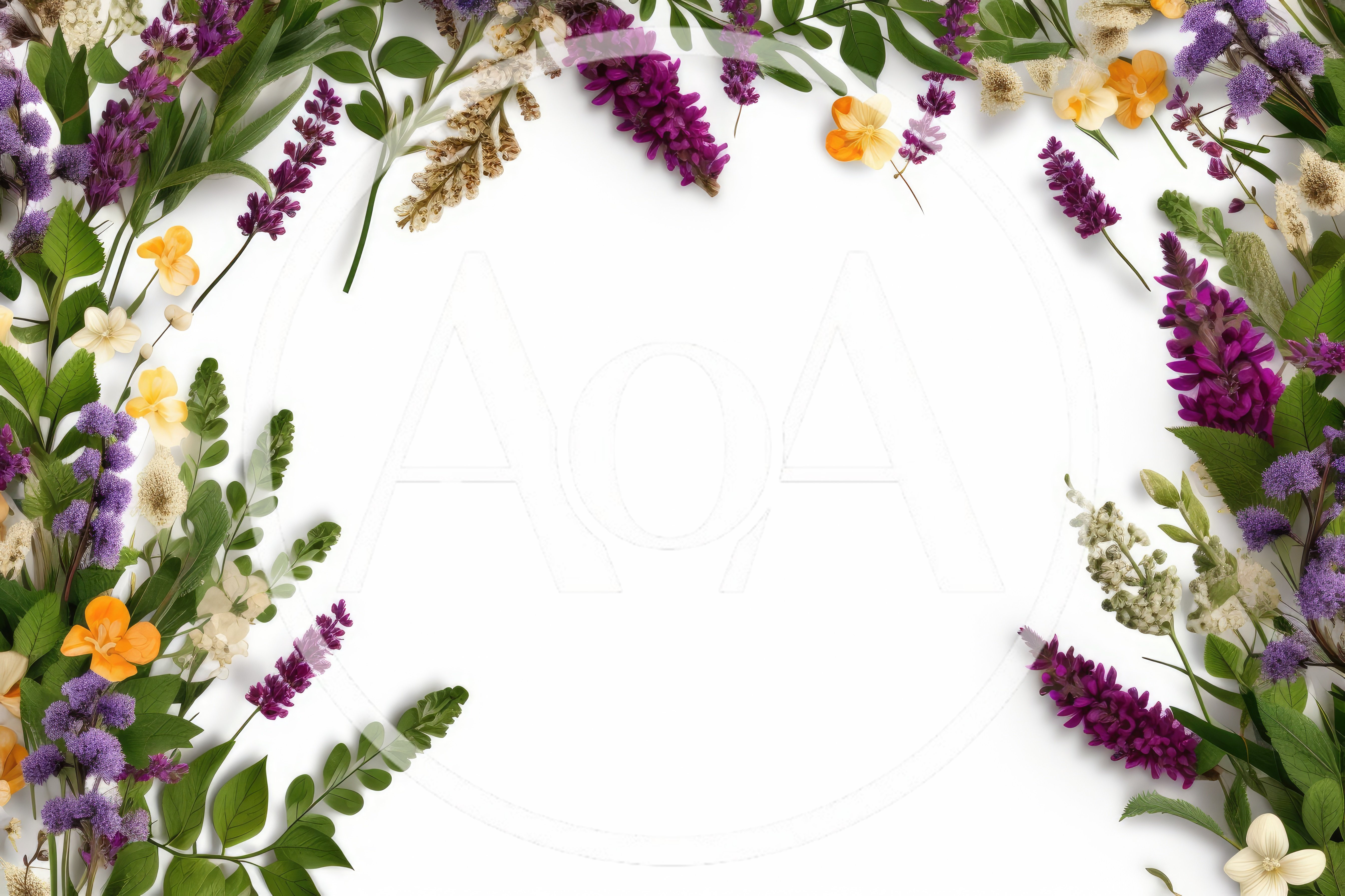 Floral Frame Border With Purple And Yellow Flowers
