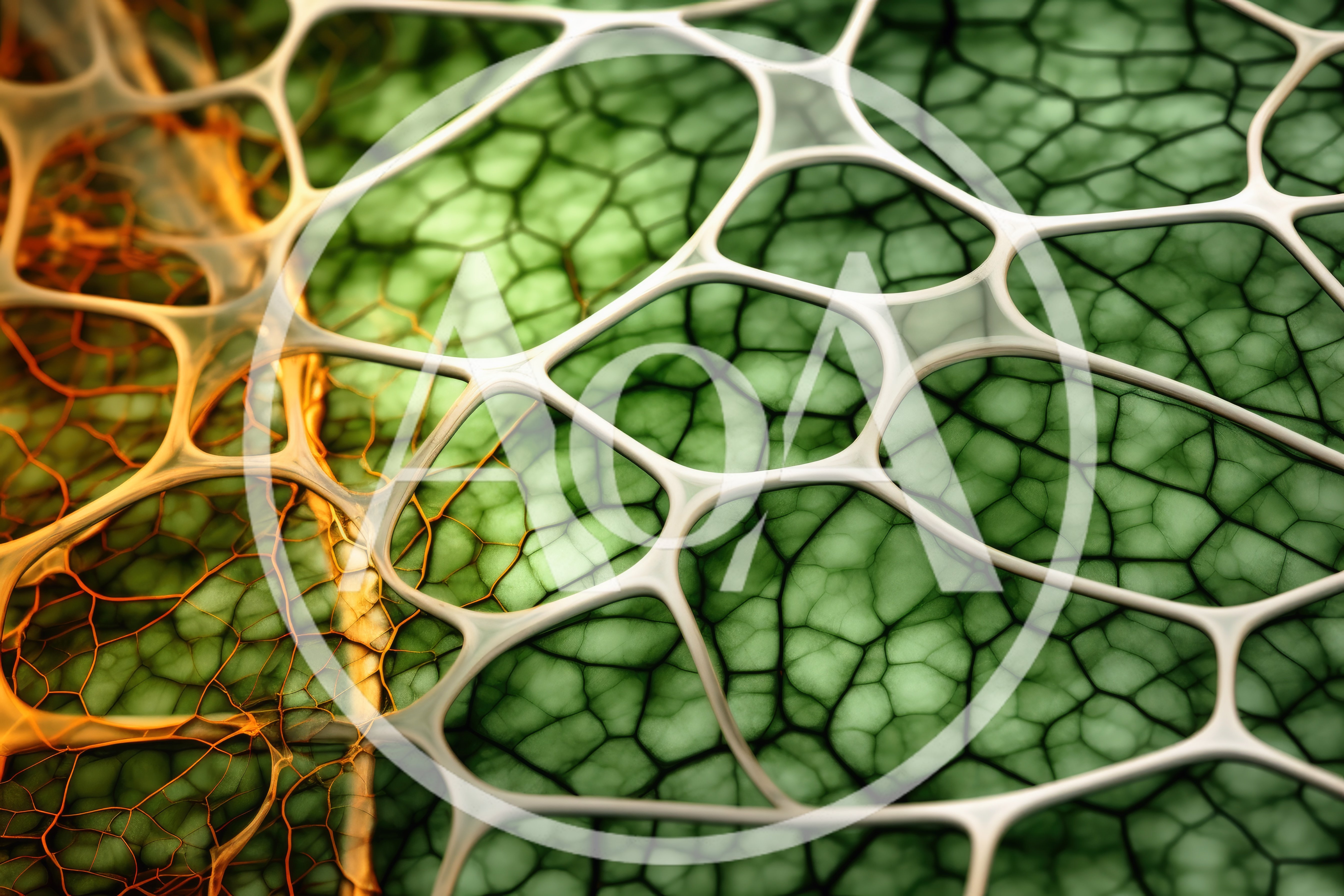 Abstract Macro View Of Organic Cellular Leaf Structure