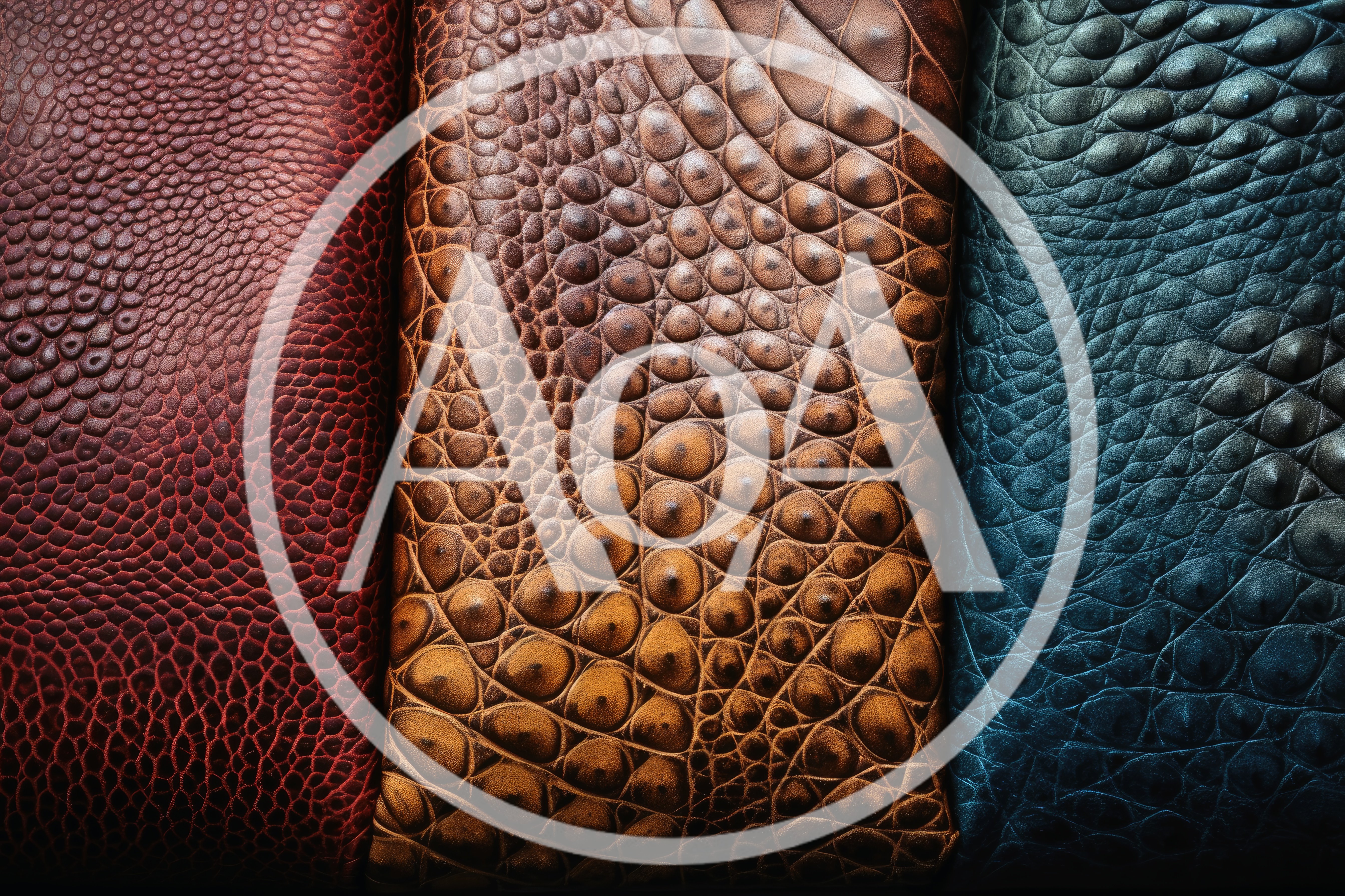 Three Different Textured Leather Samples In Red Brown Blue