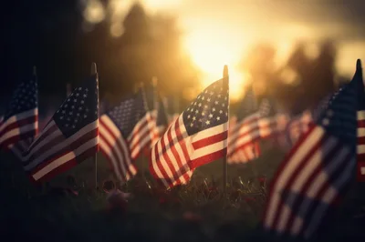 Small American Flags Placed In Grass At Sunset