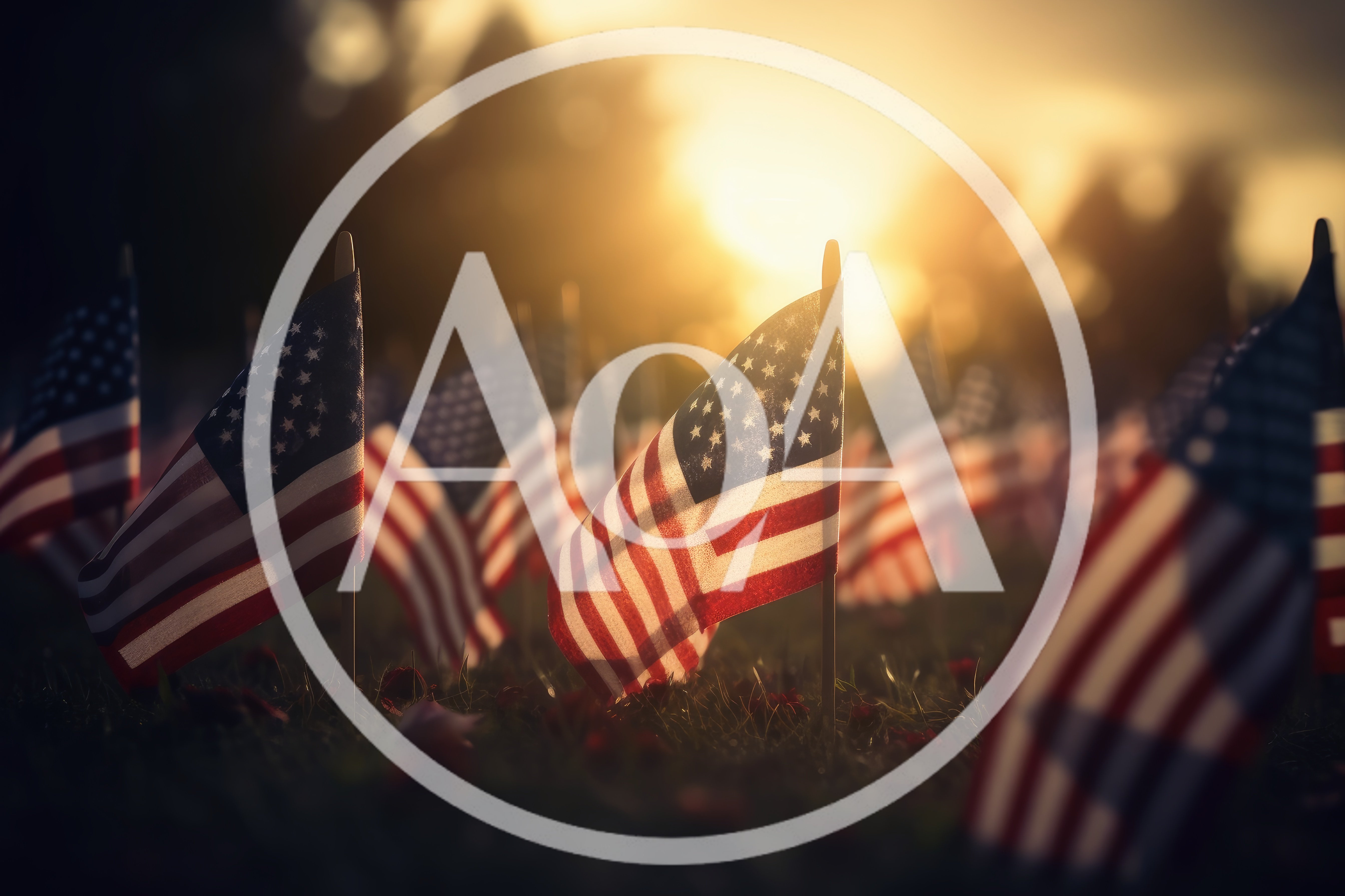 Small American Flags Placed In Grass At Sunset