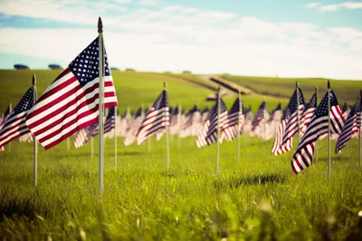 American Flags Displayed In A Grassy Field