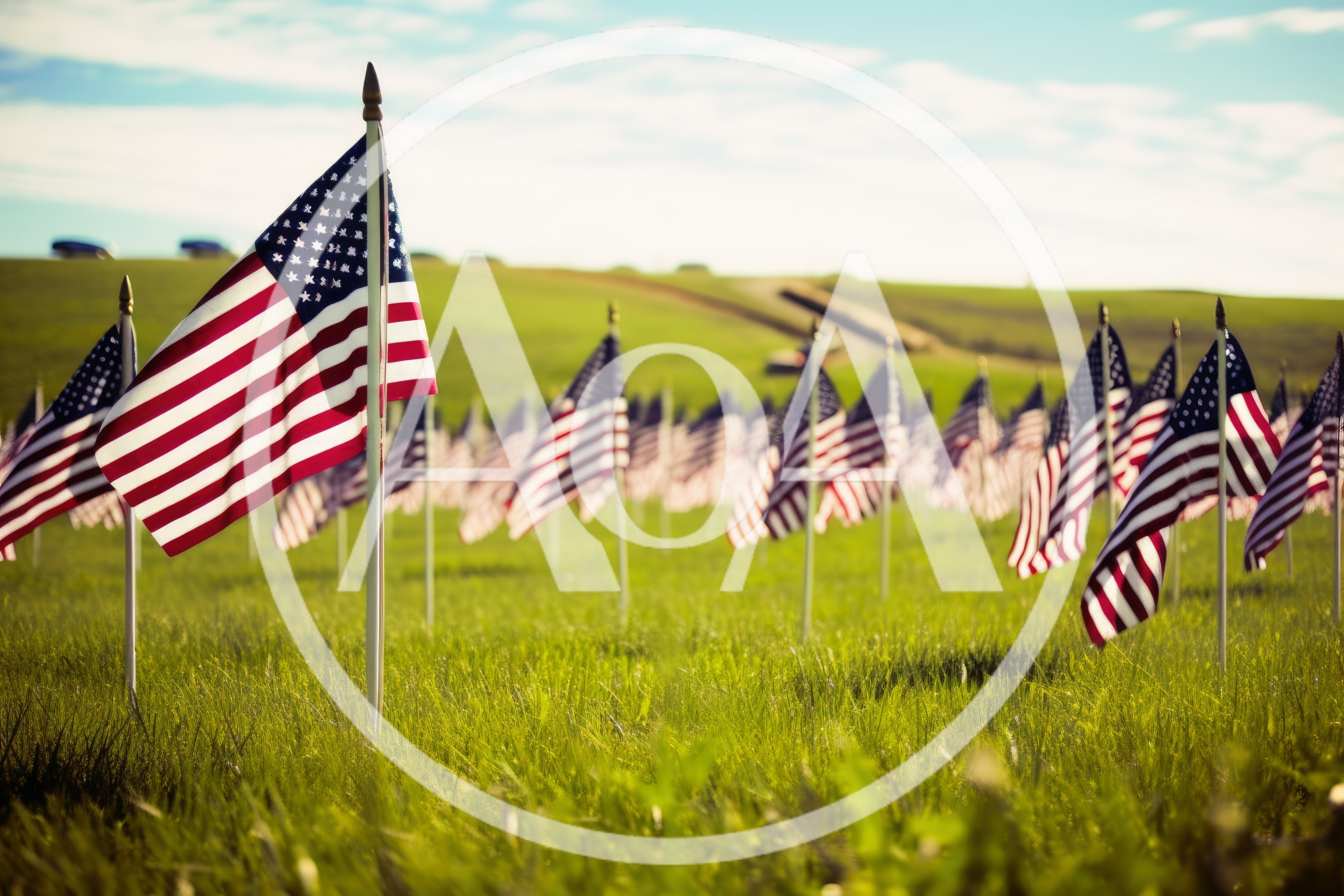 American Flags Displayed In A Grassy Field