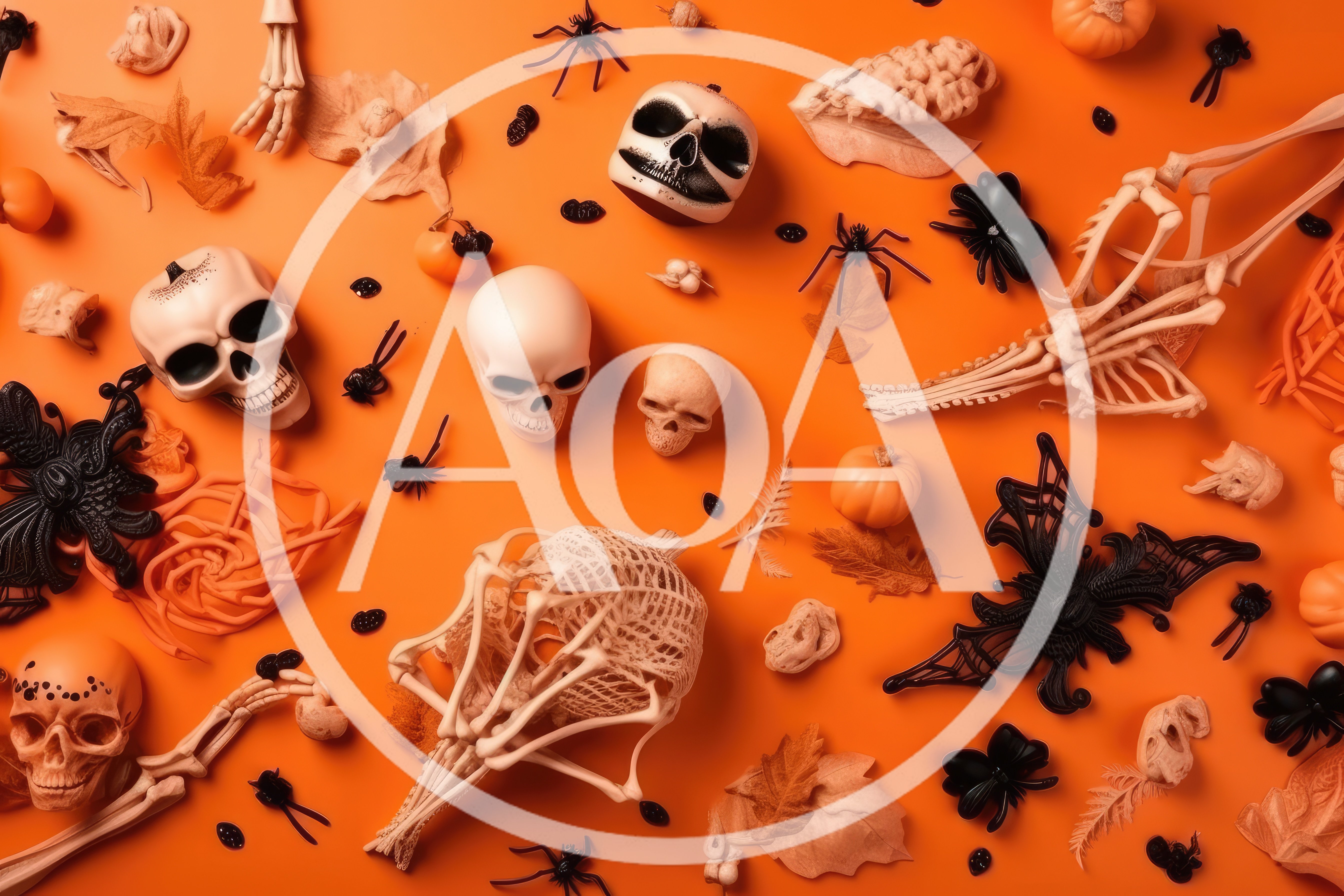 Halloween Flat Lay With Skulls And Spiders